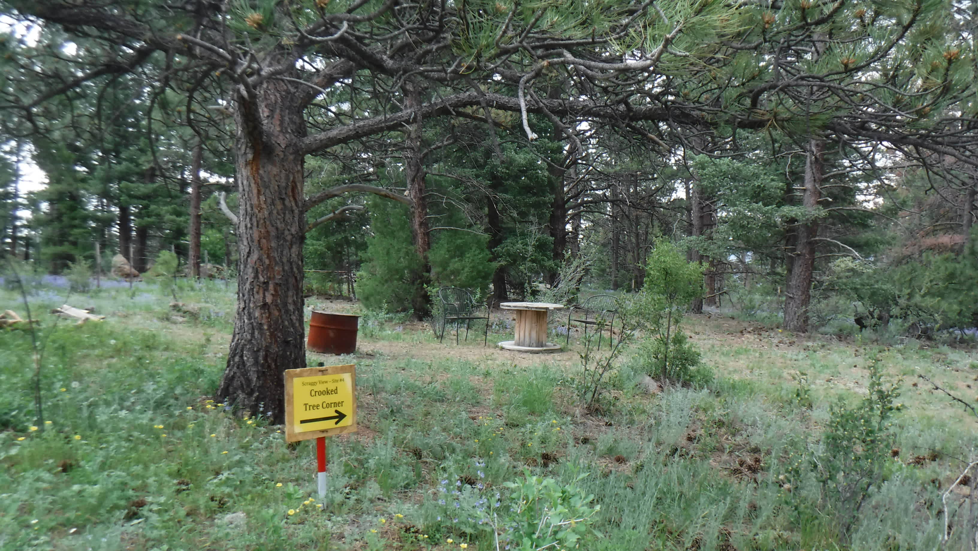 Little Scraggy Camp