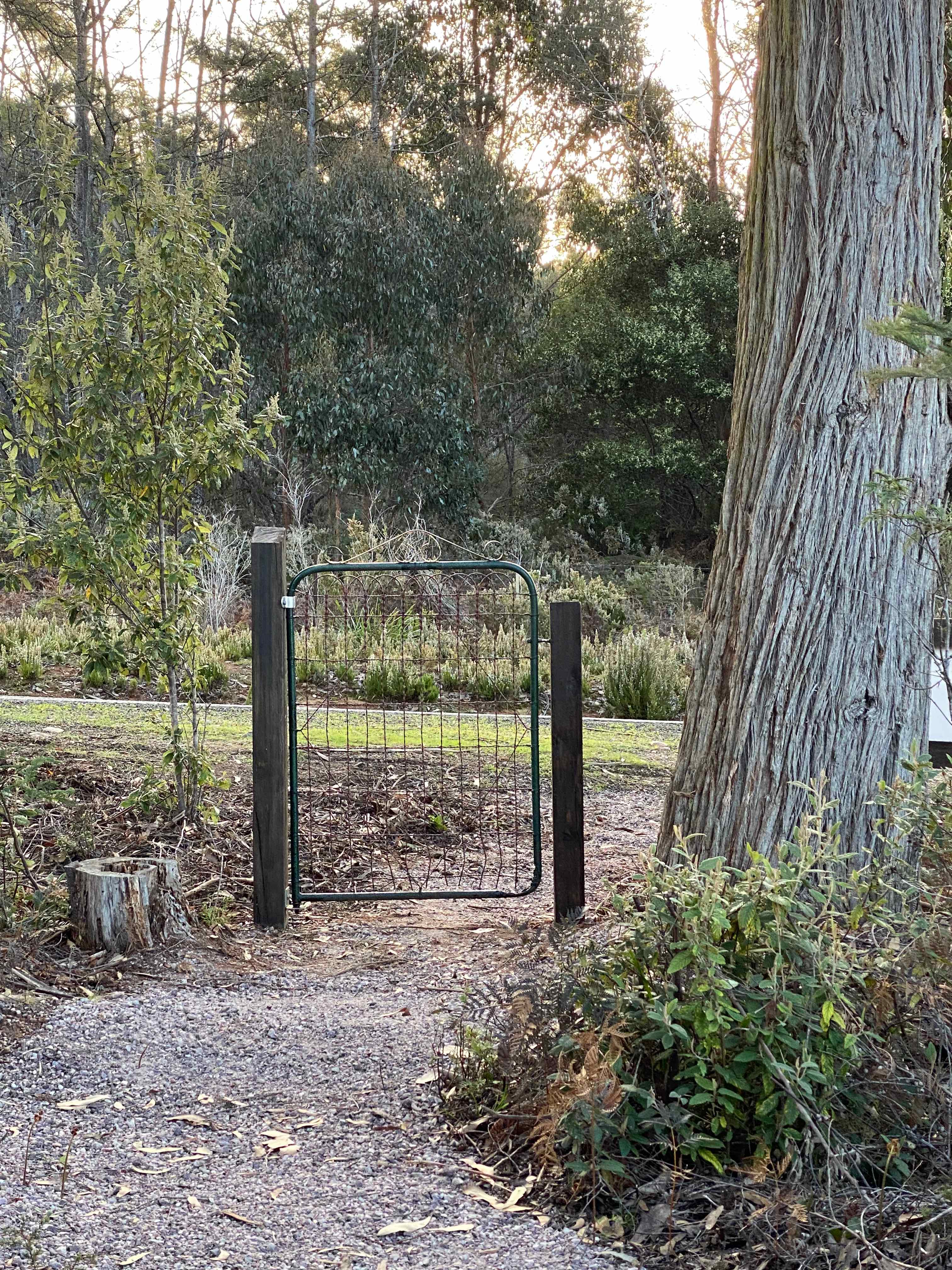 The Gates of Heaven