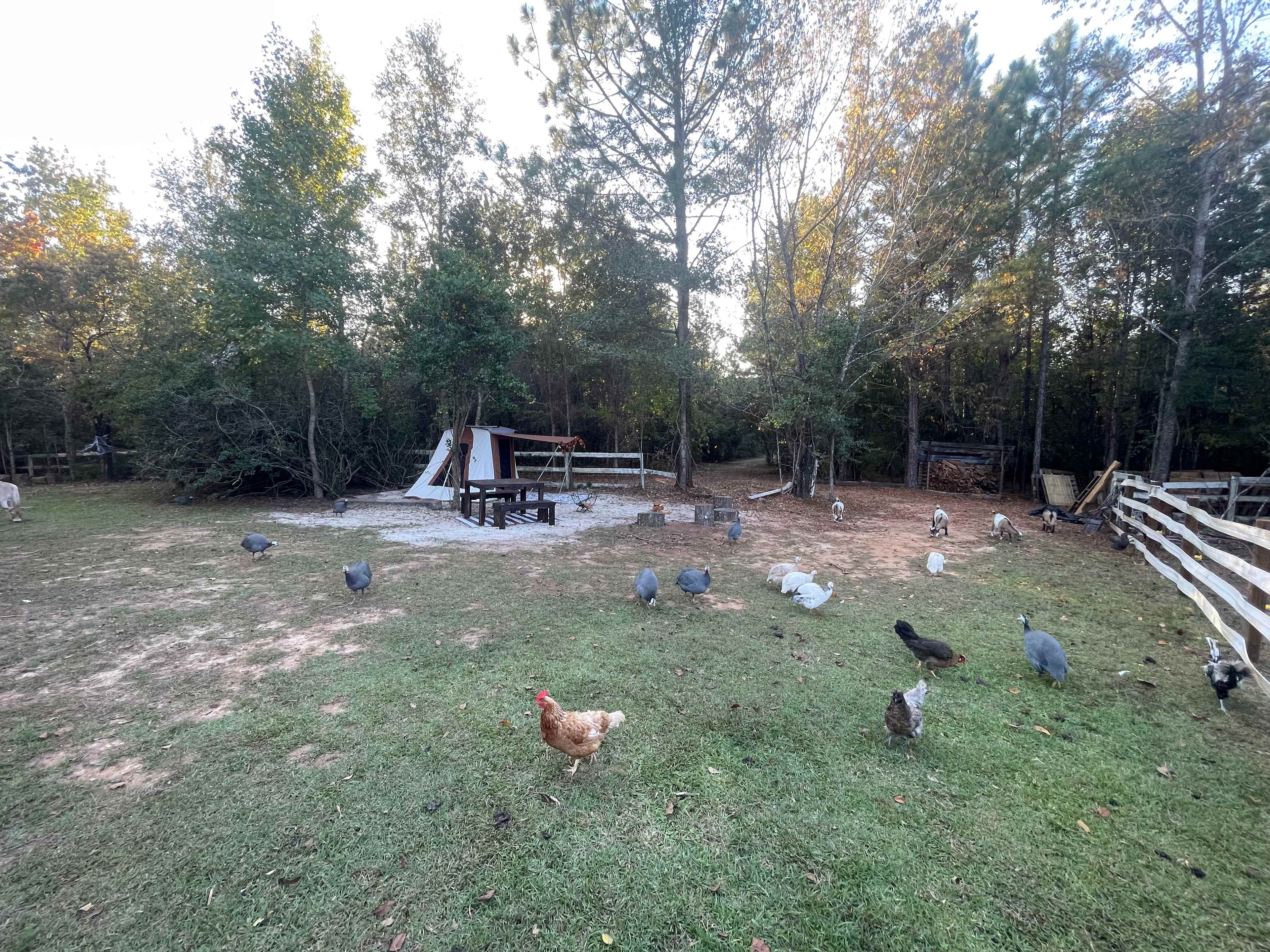SandyLand Farmstay GlampingTherapy