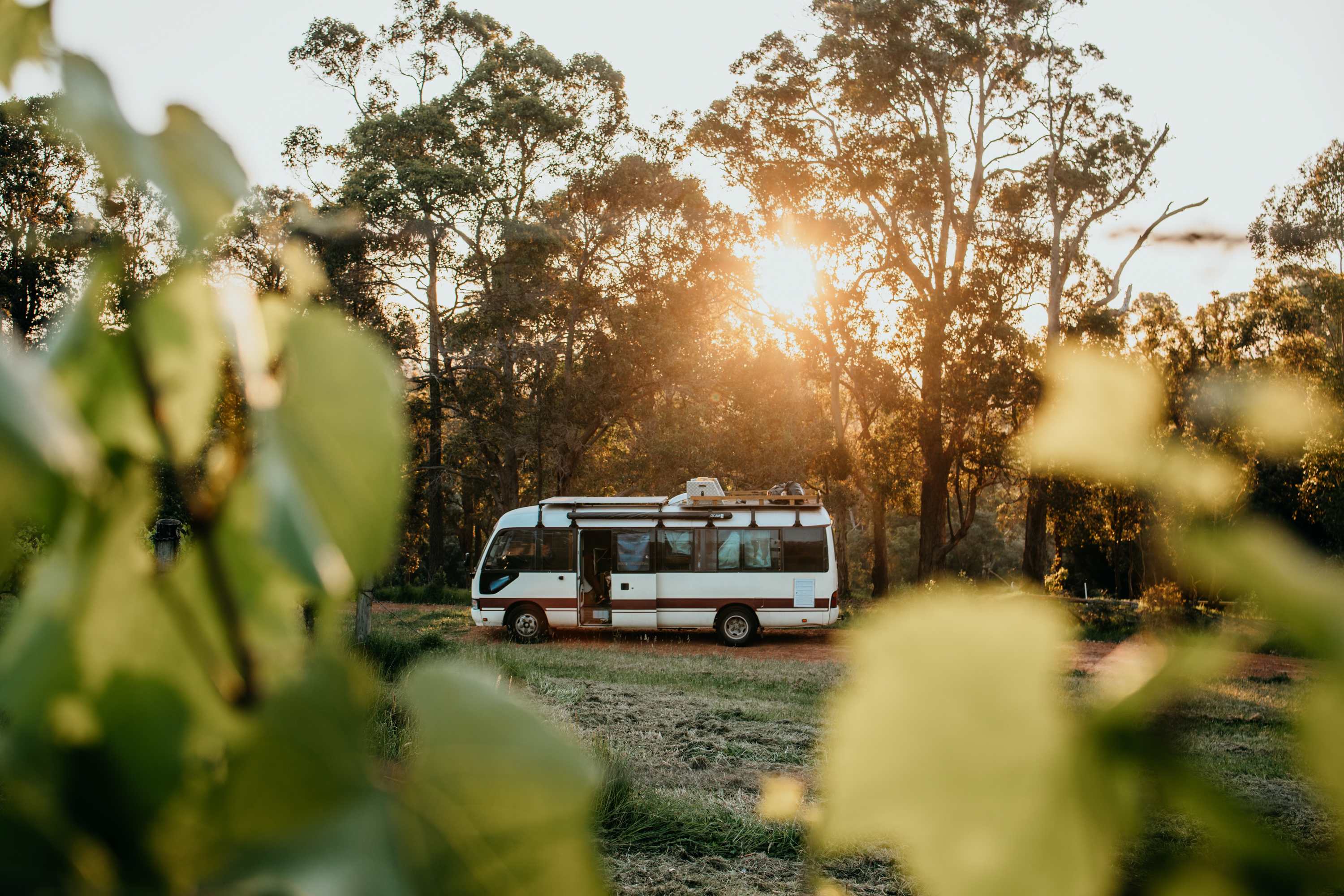 Nestled in the wines