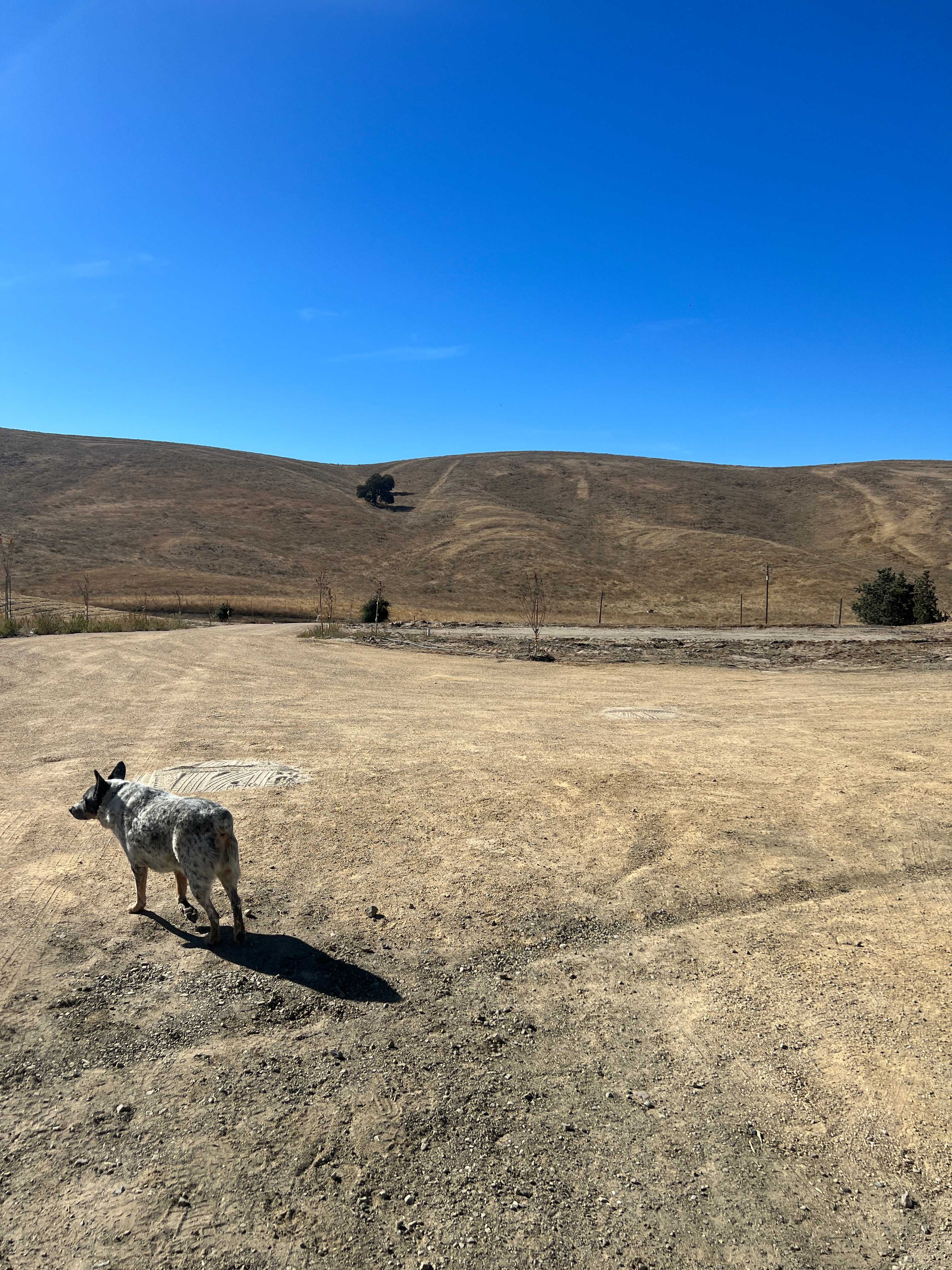 Skelton Family Ranch