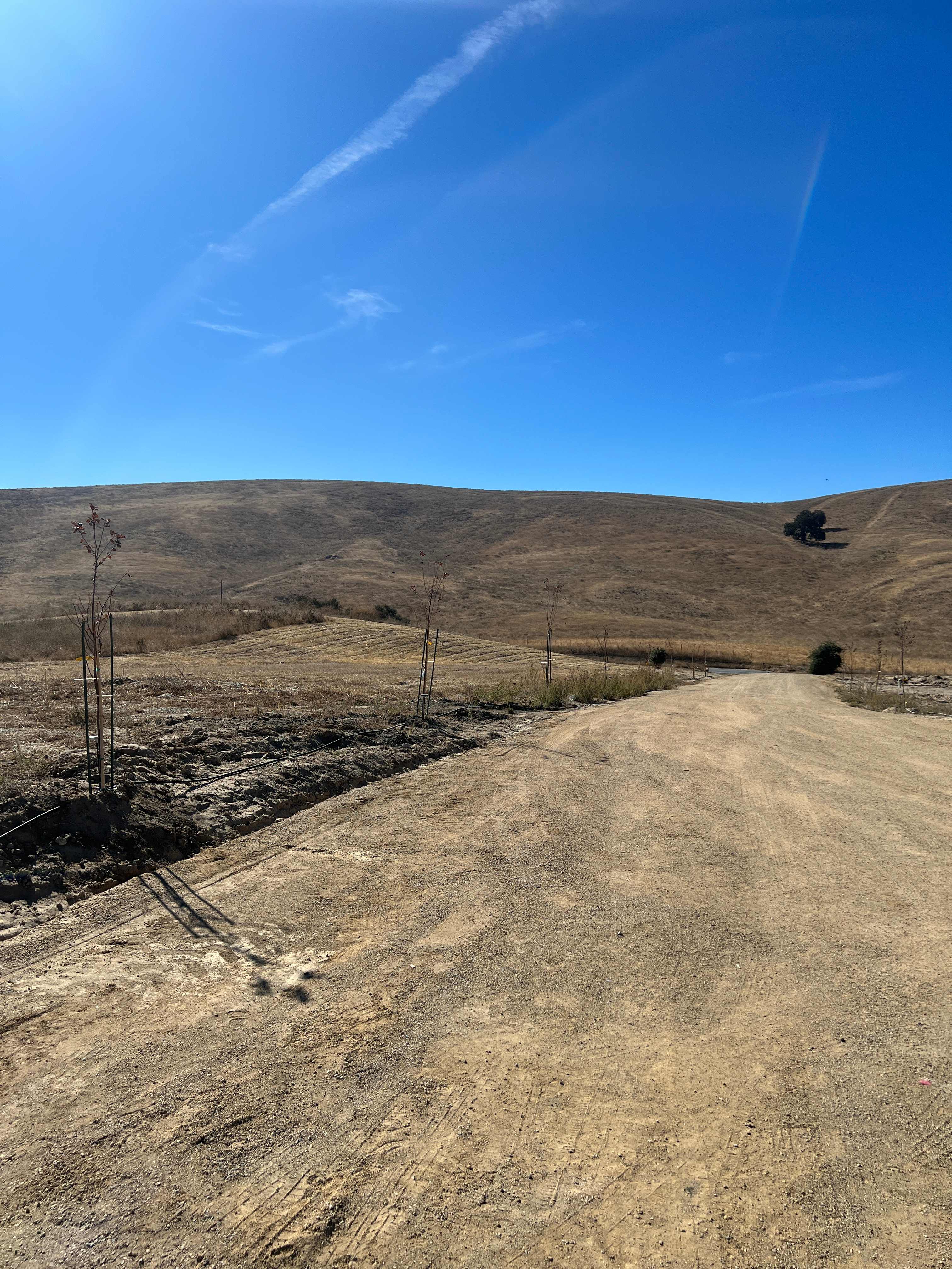 Skelton Family Ranch