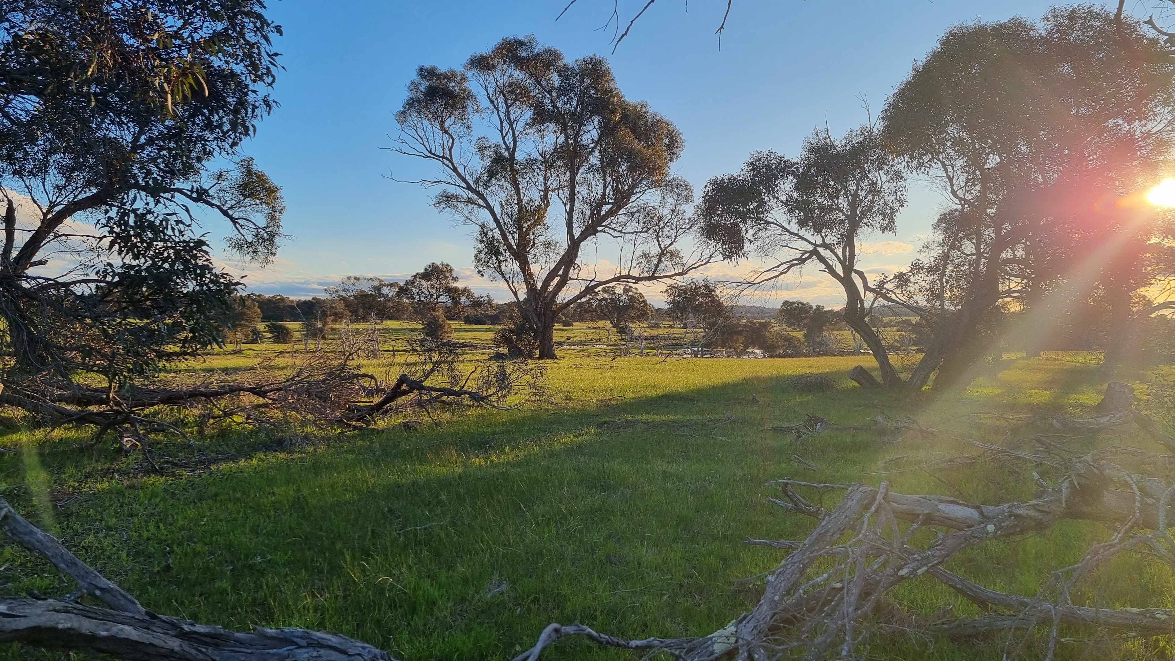 Wongin Mia Cranbrook Hideaway