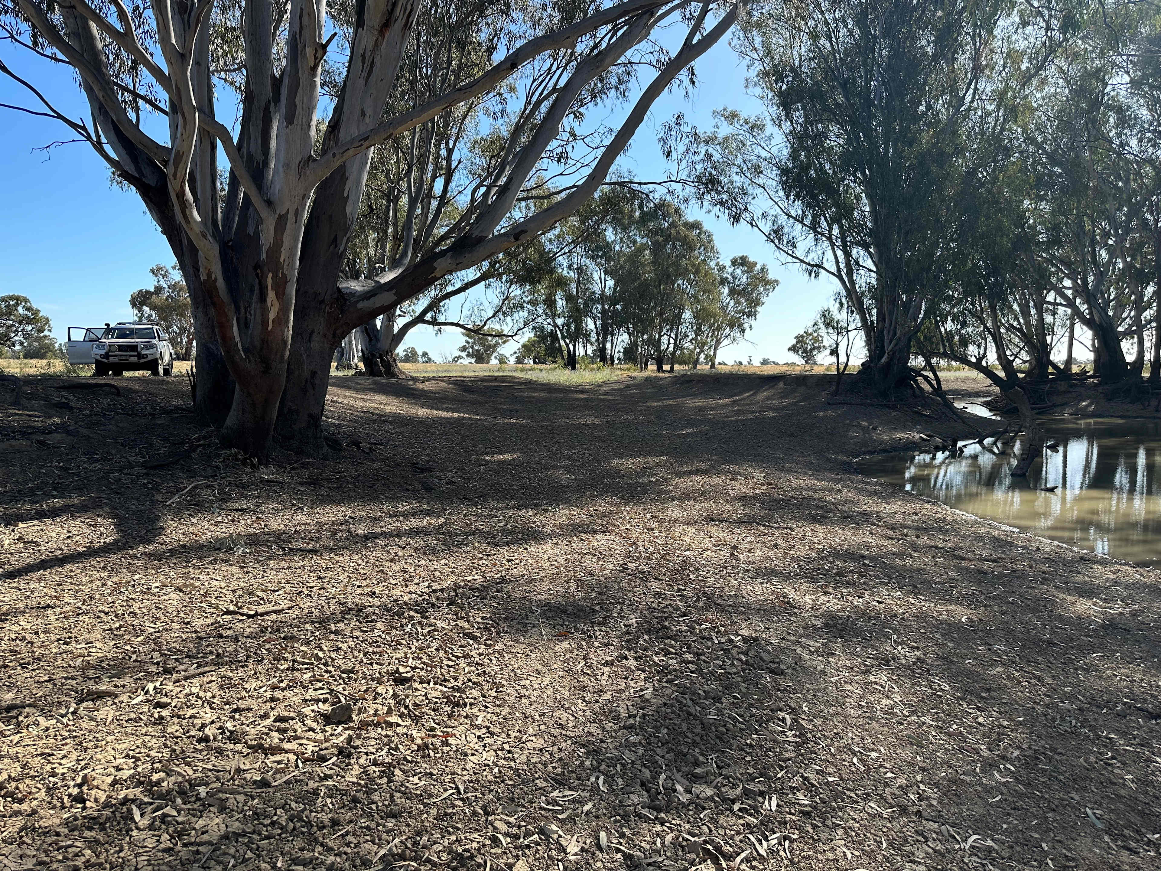Picture of the site