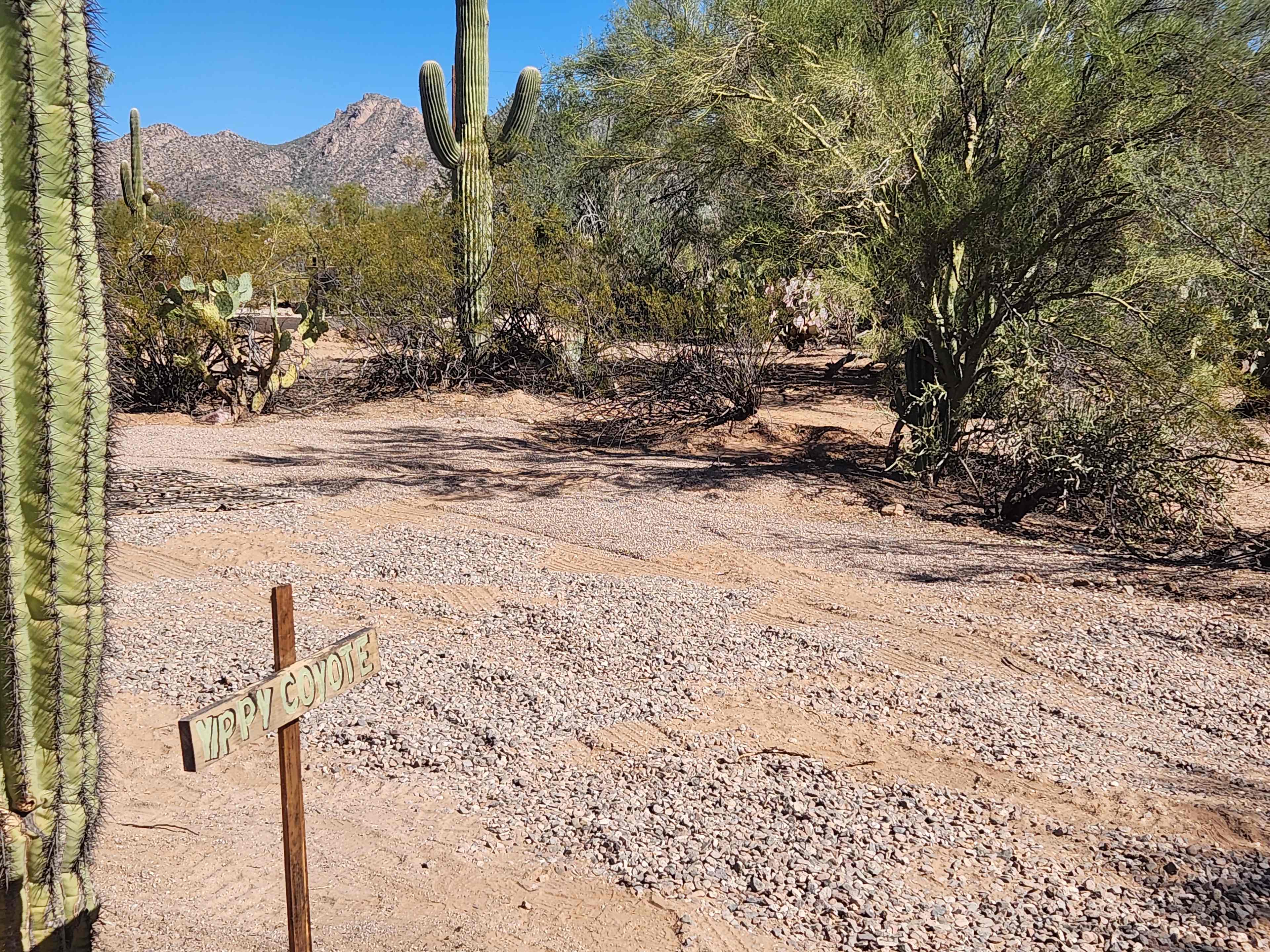 Picture of the site