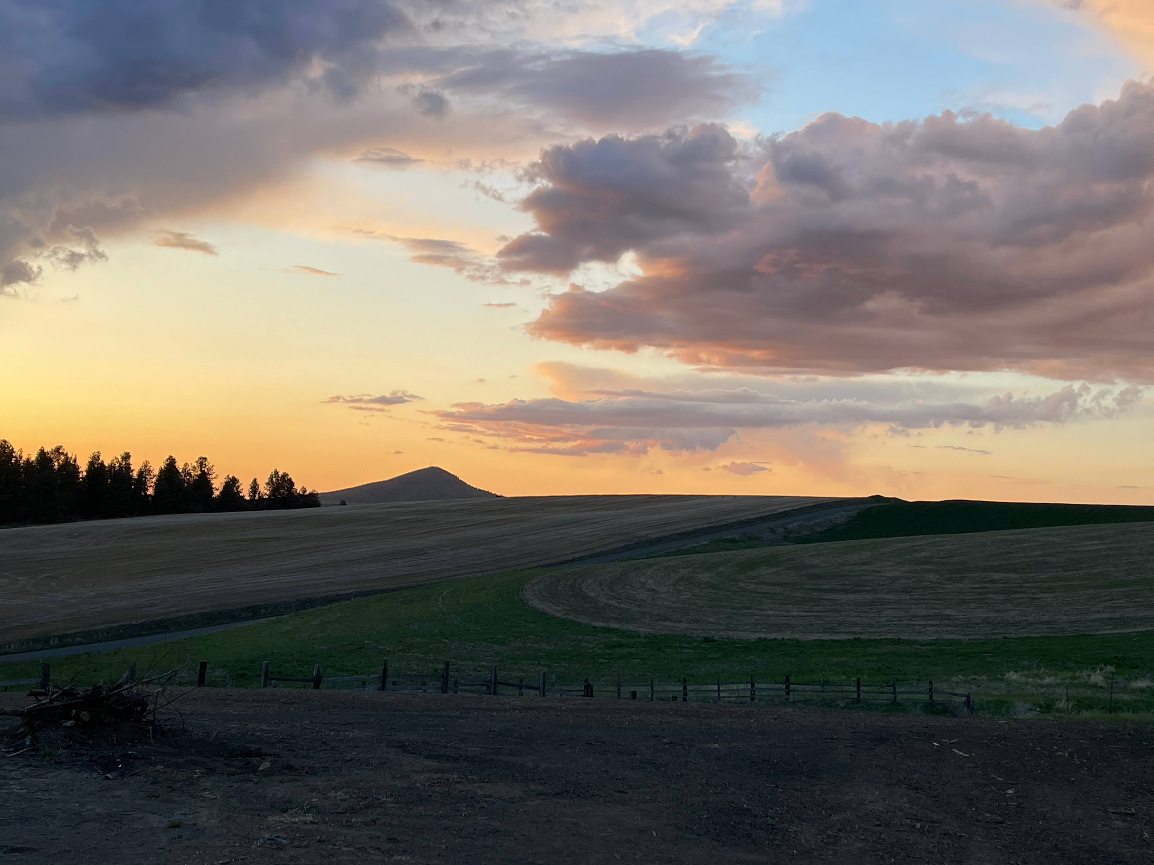 Views of Steptoe Butte