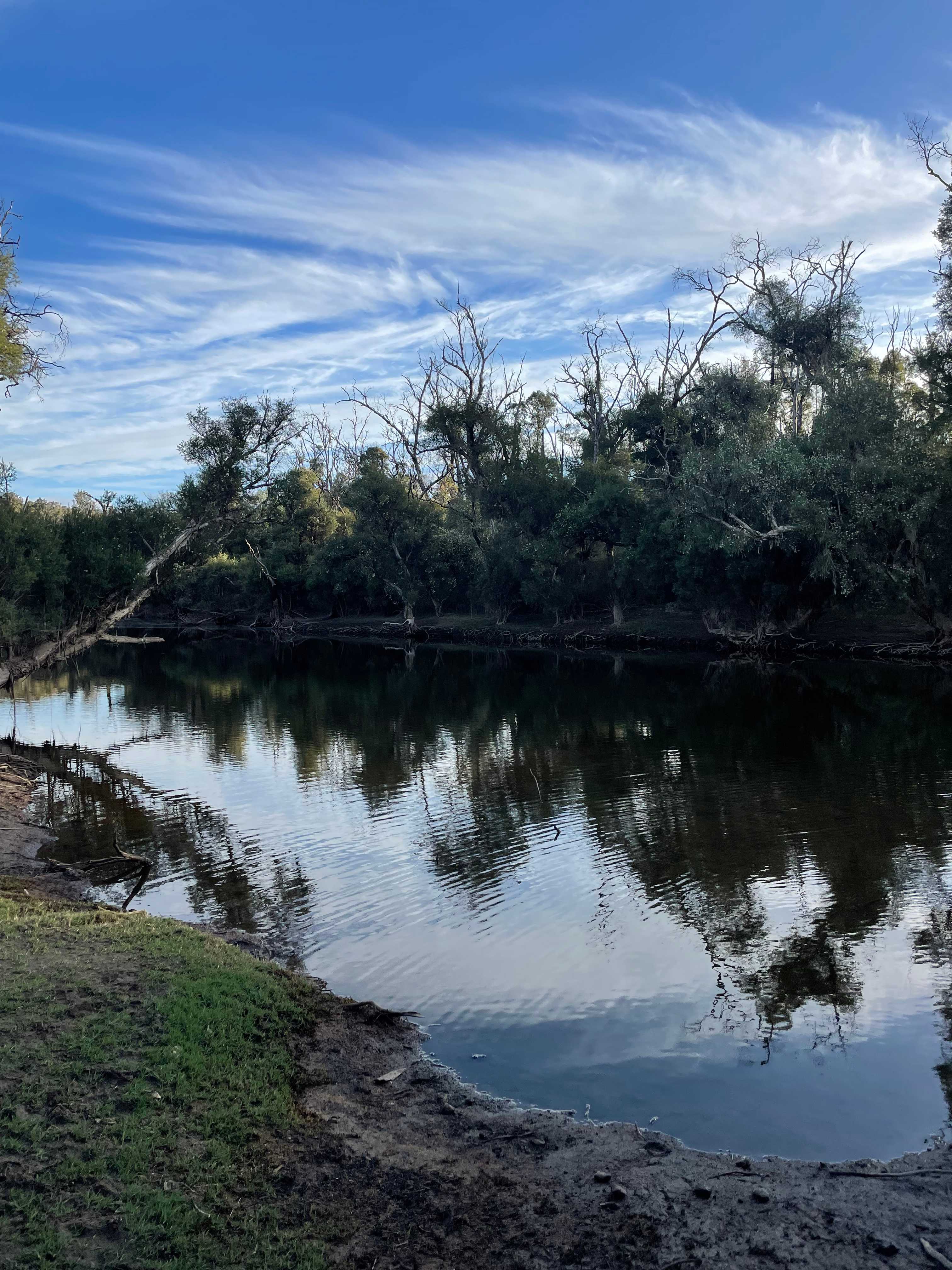 Murray Valley Camping