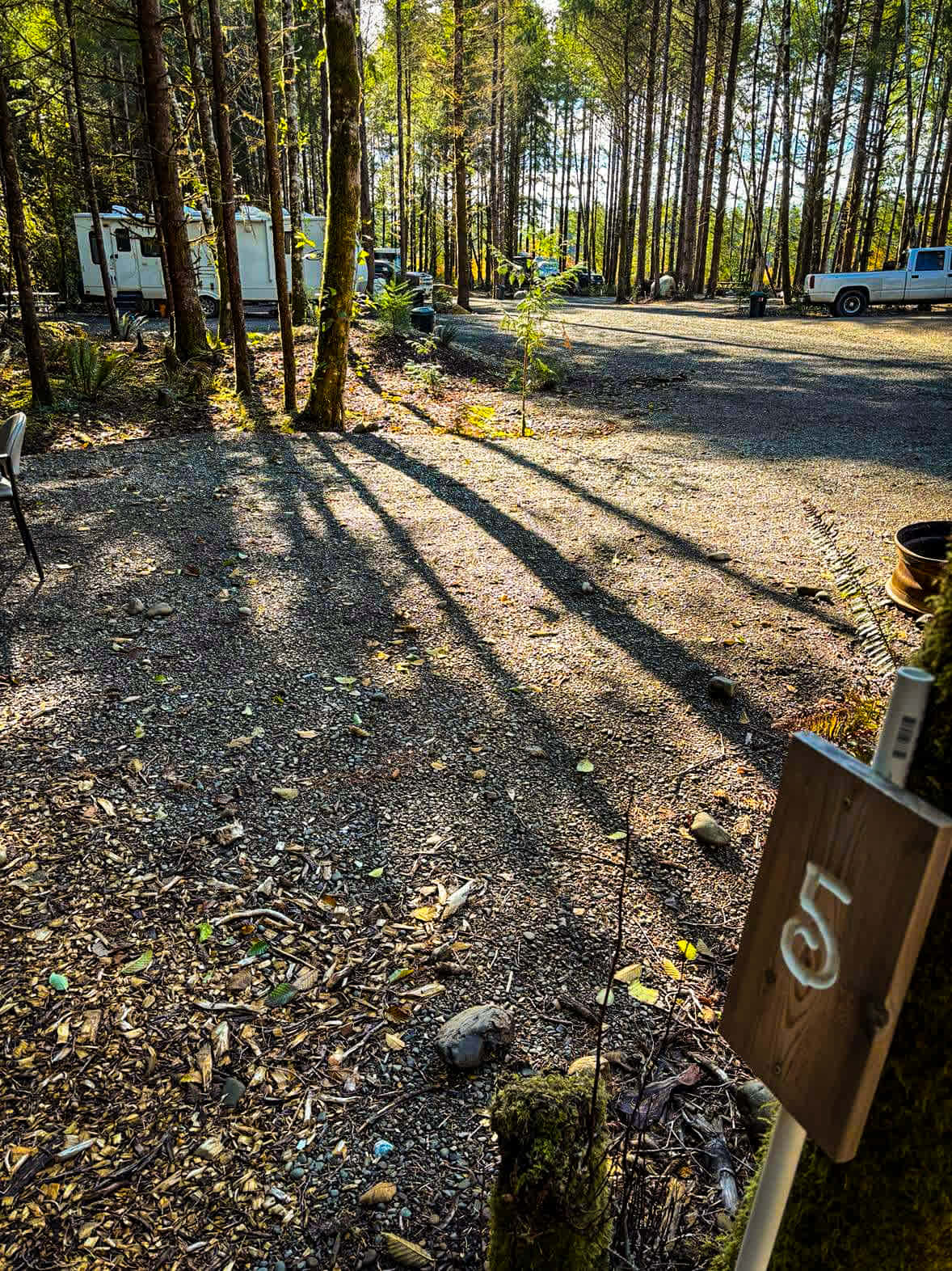 Picture of the site