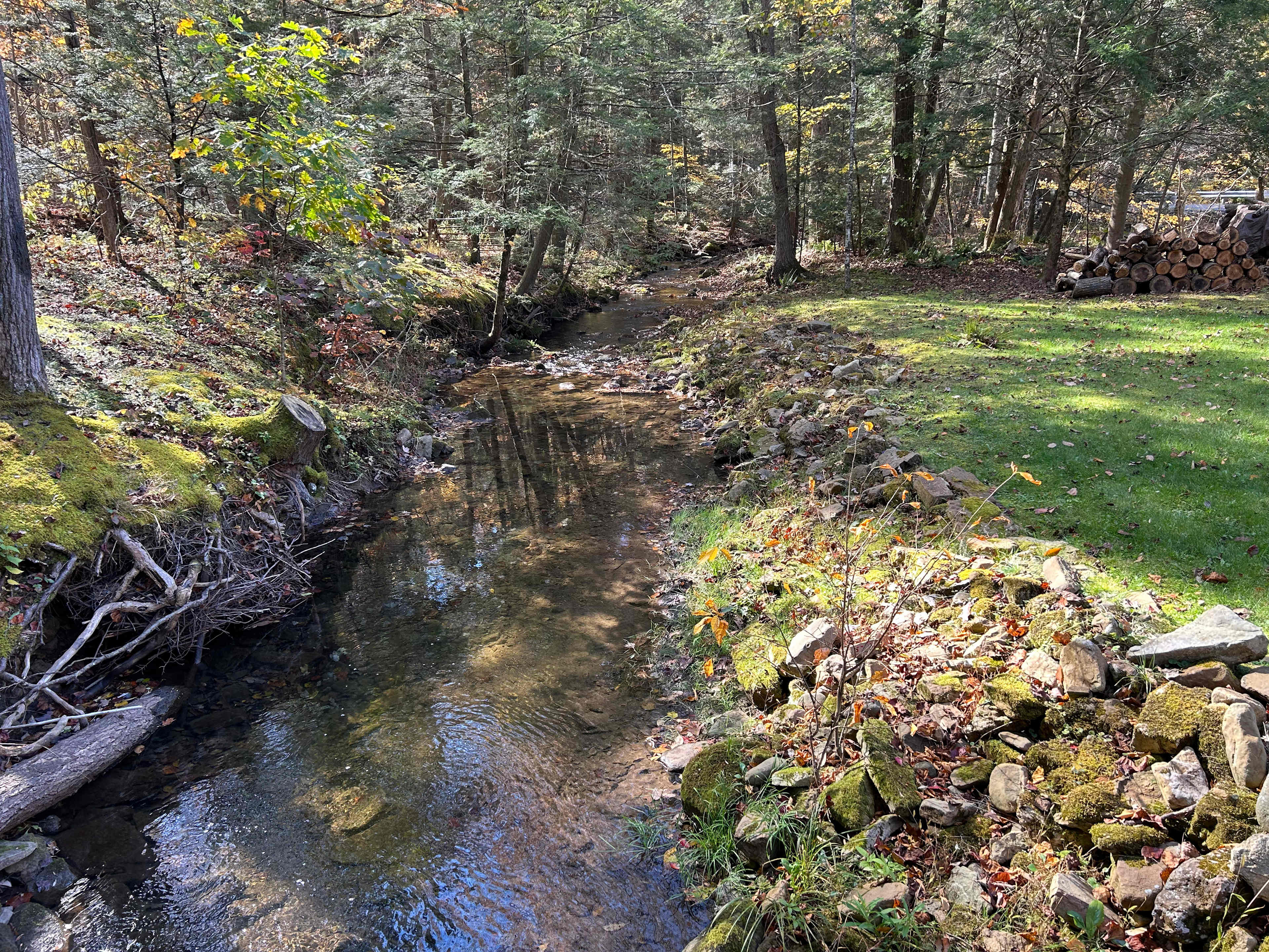 Stream runs several hundred feet across the back of the property. 