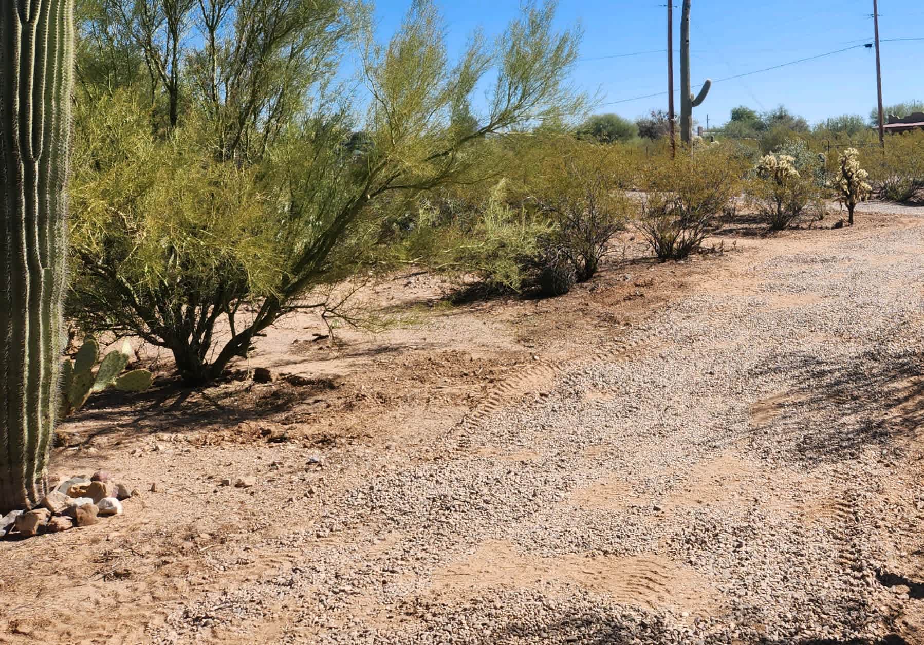 Camp Saguaro