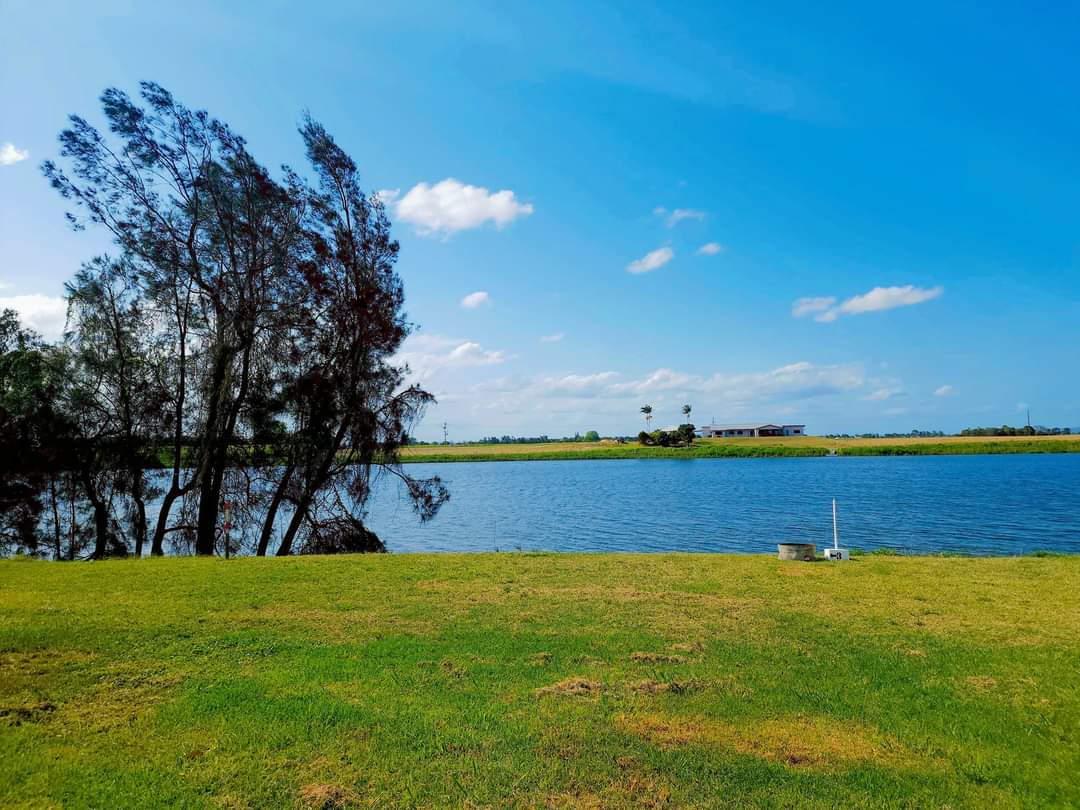 River terrace camping Cowper 2460