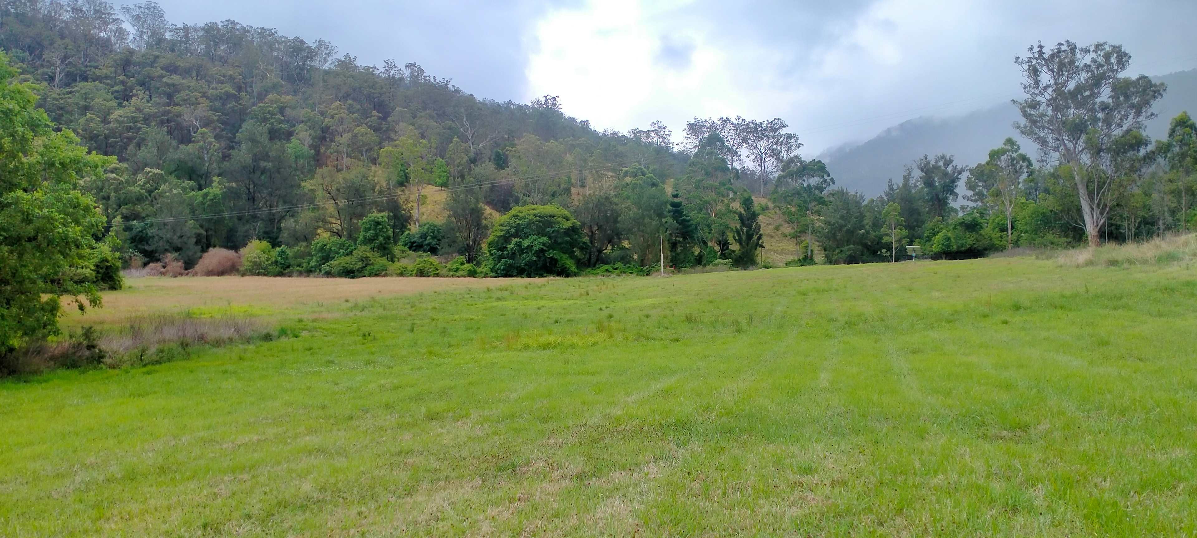 Figtree Farm at Findon Creek