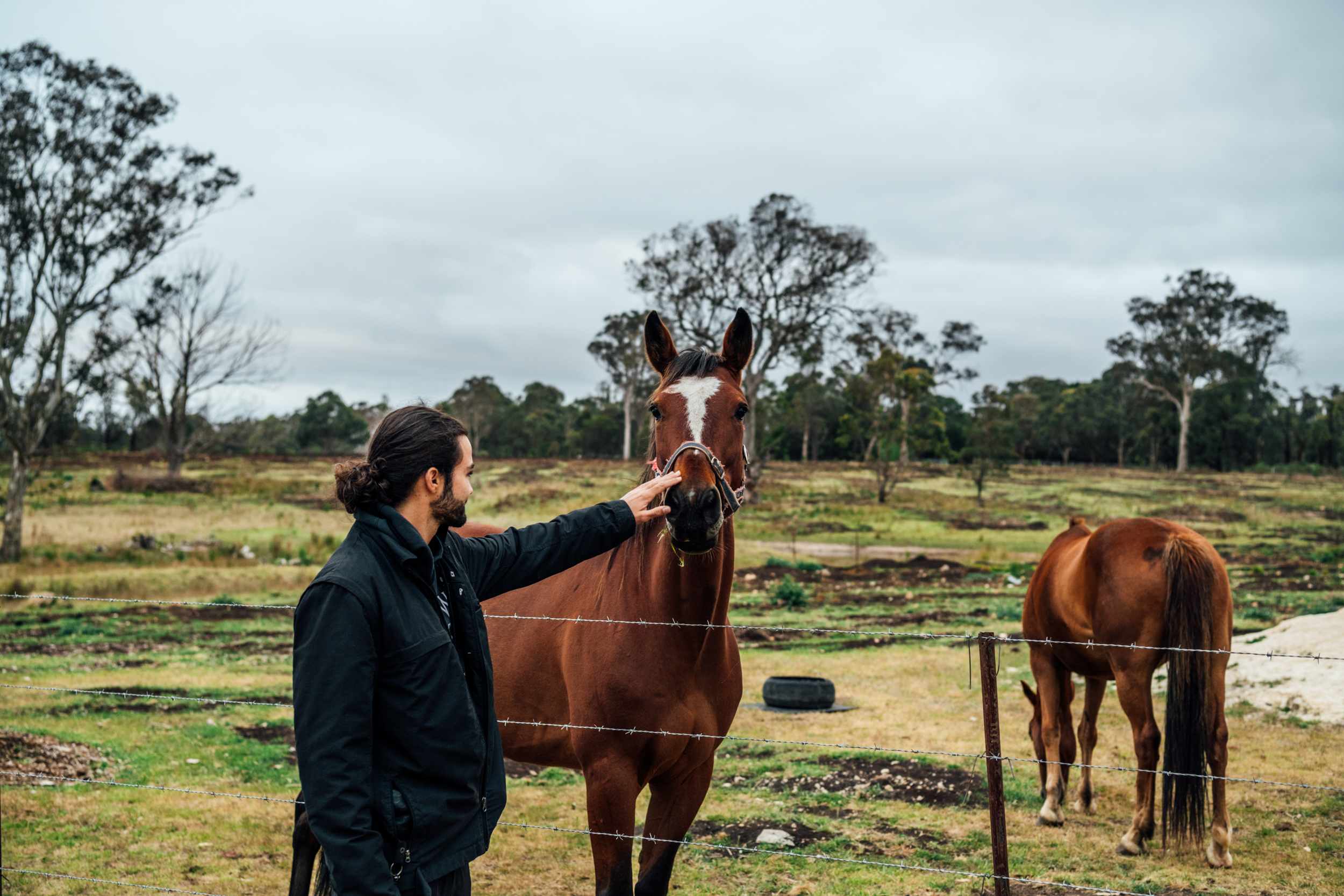 Saying hello to the Weathertop horses. 