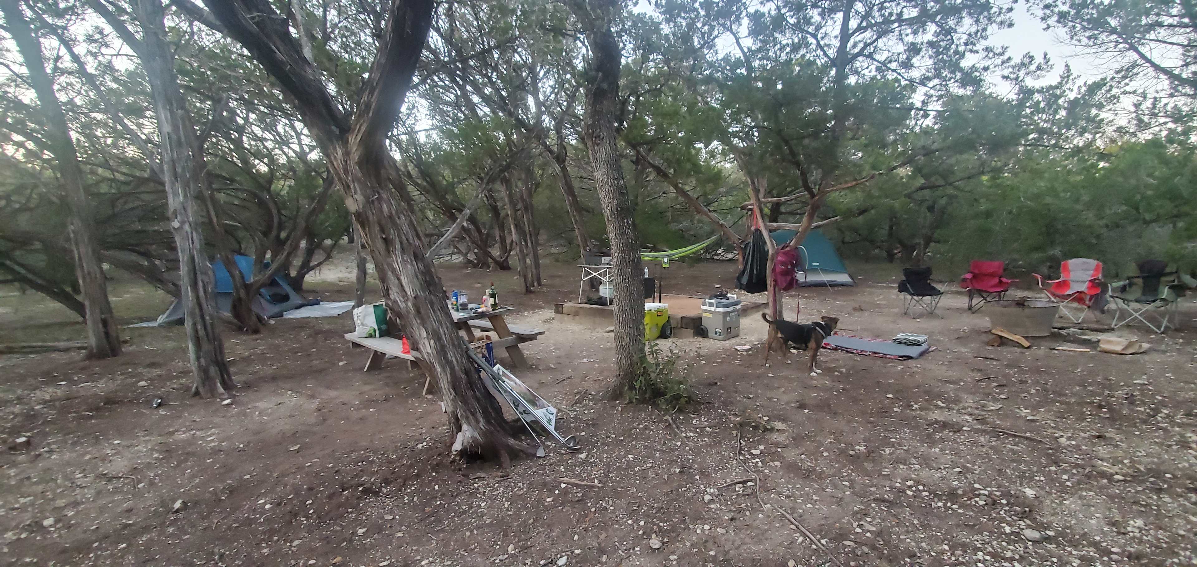 Picture of the site