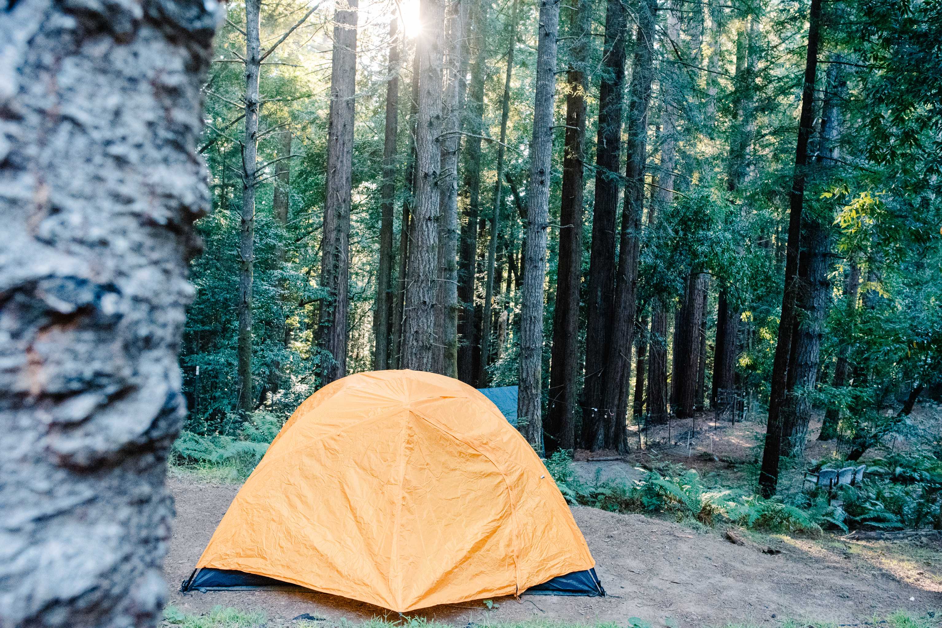 small campsite for a litter tent