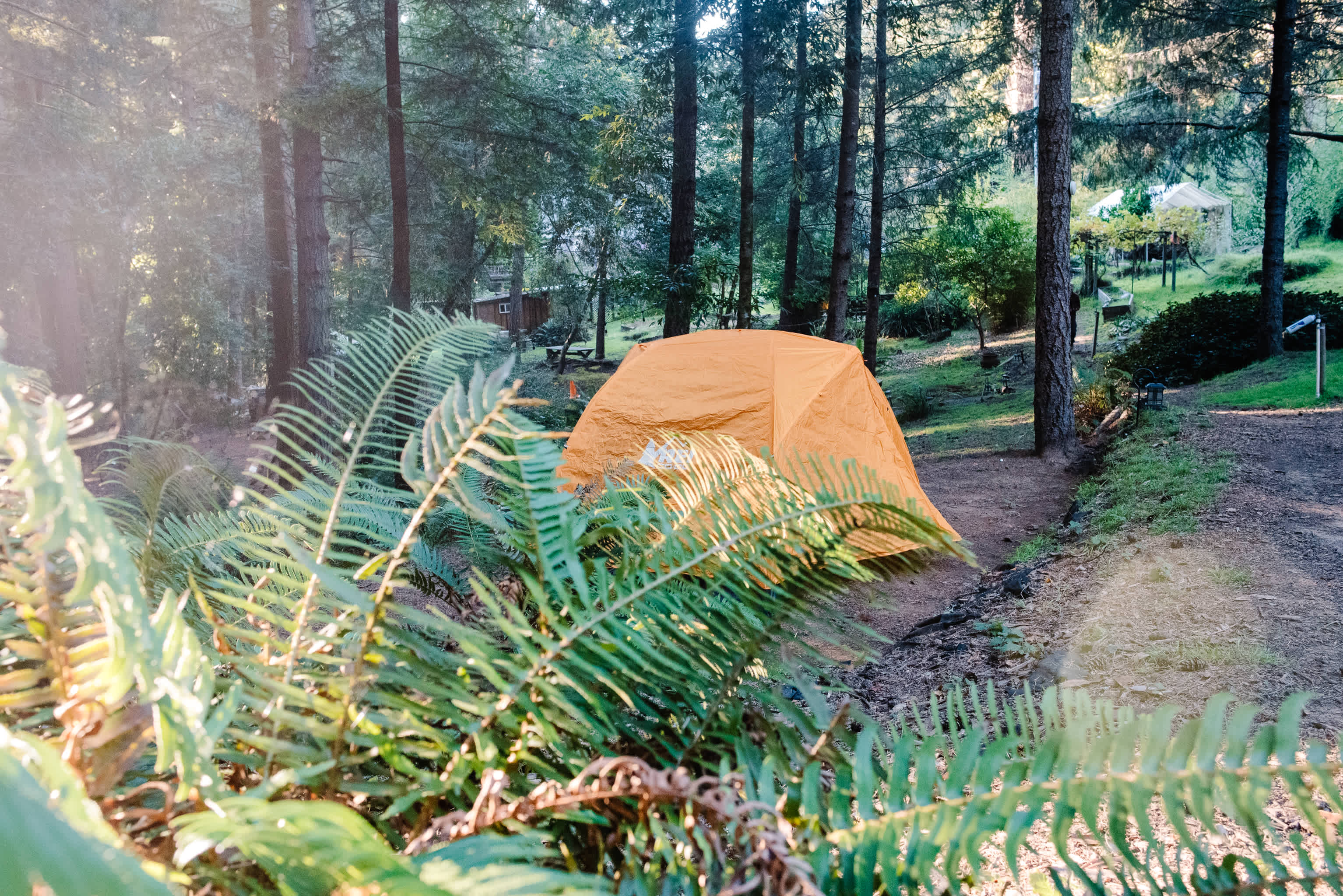 small campsite for a litter tent