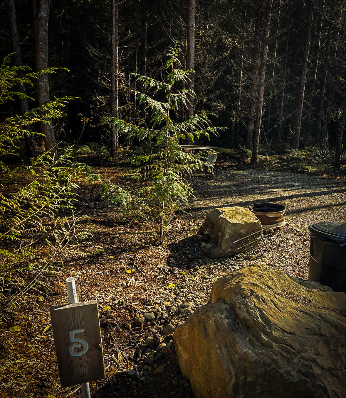 Picture of the site