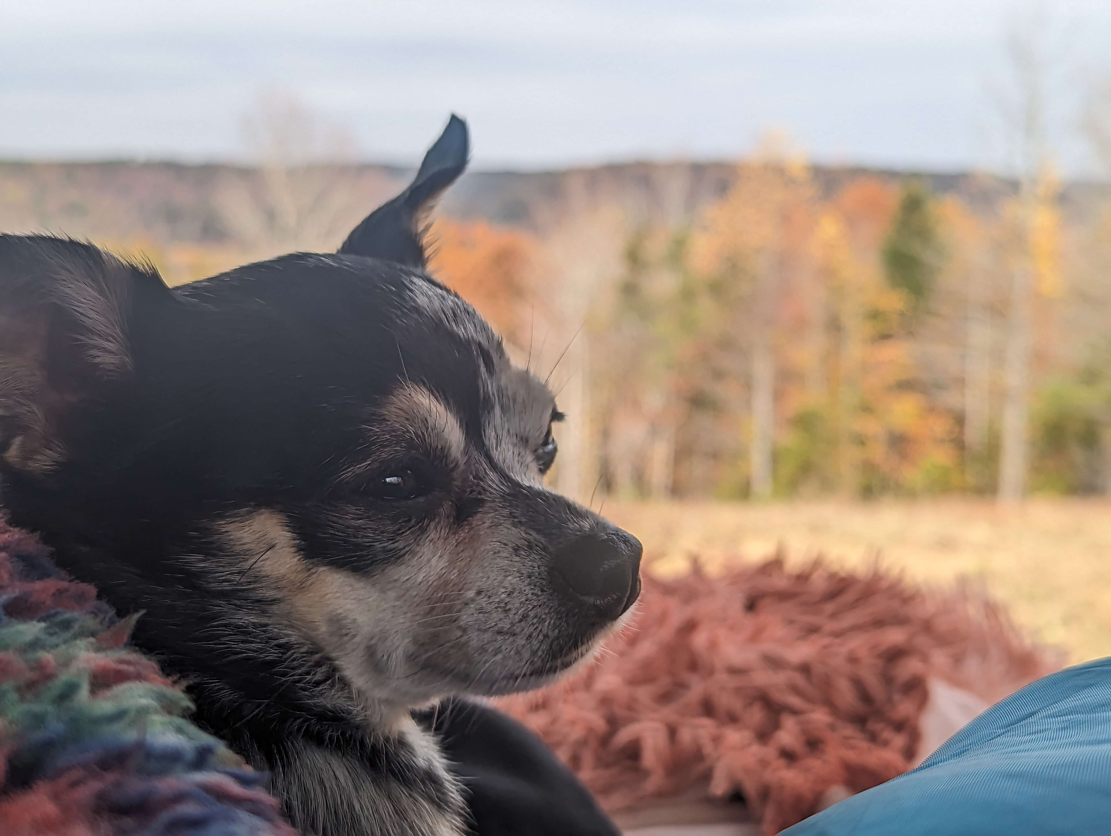 Possum Ridge Ranch