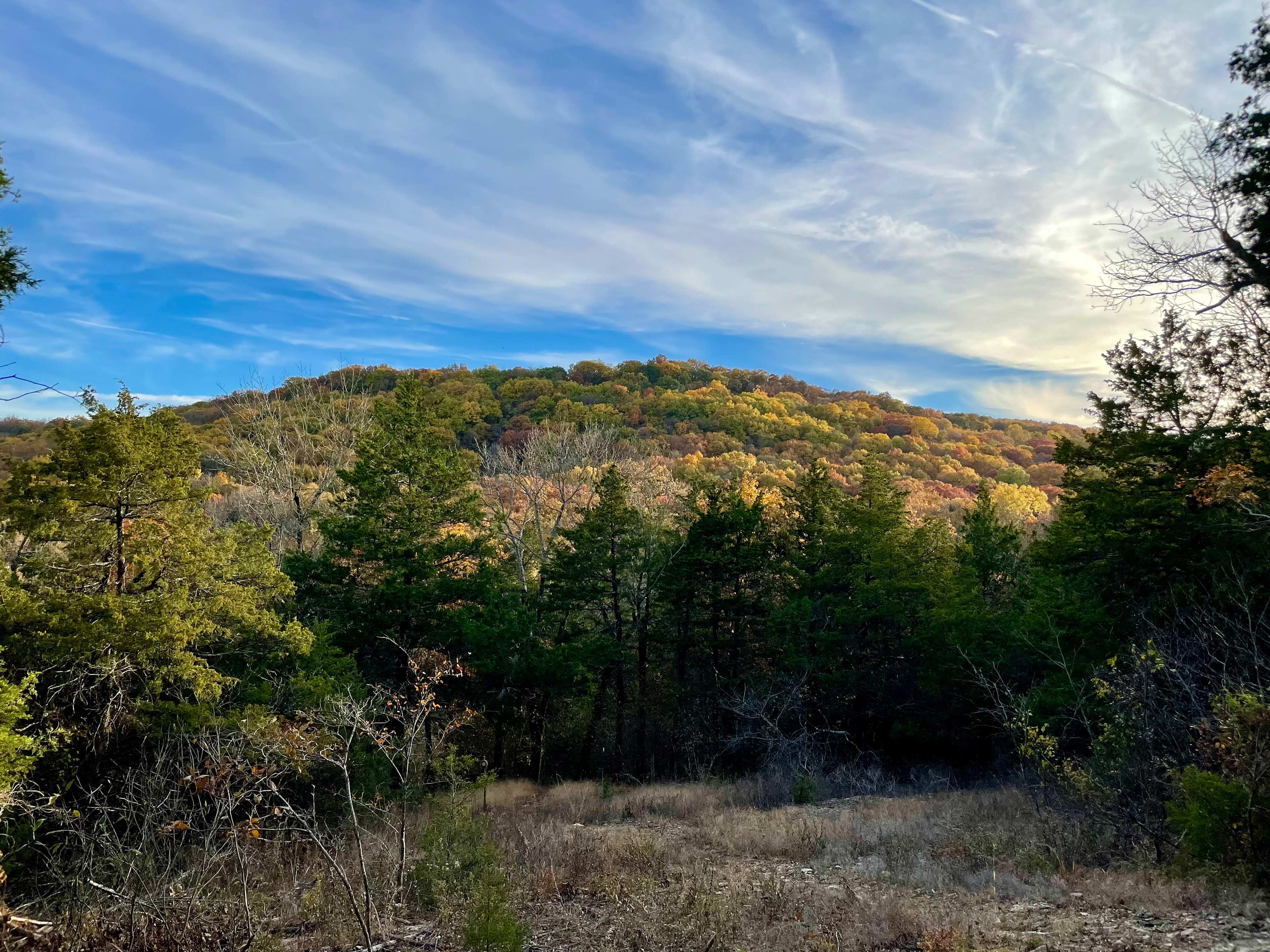 Fall view from the Old Elm trail.