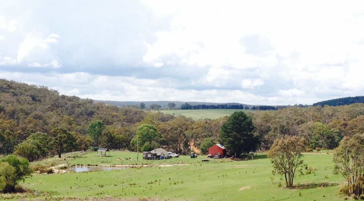Rozemary Grove