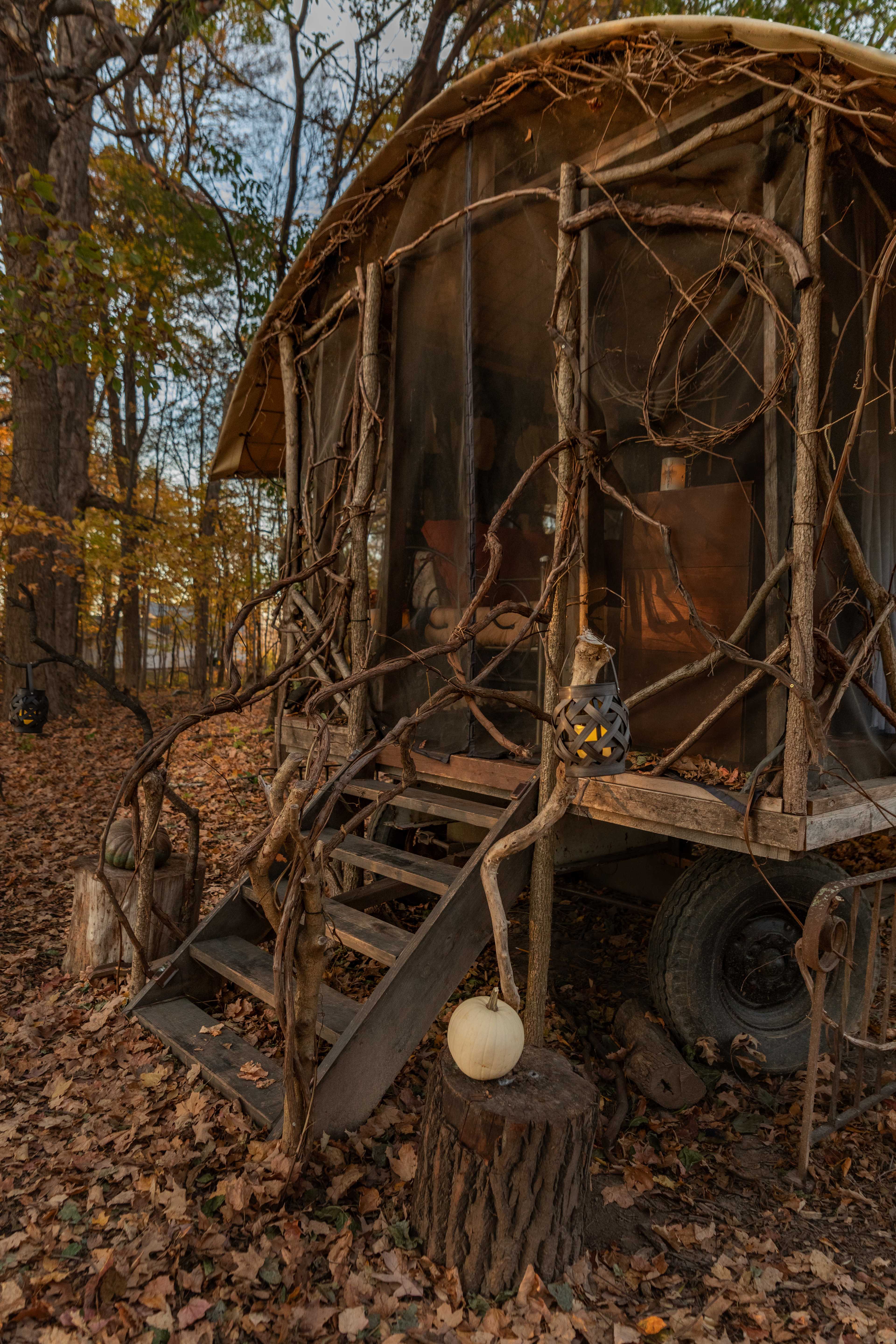 Entrance to the cabin