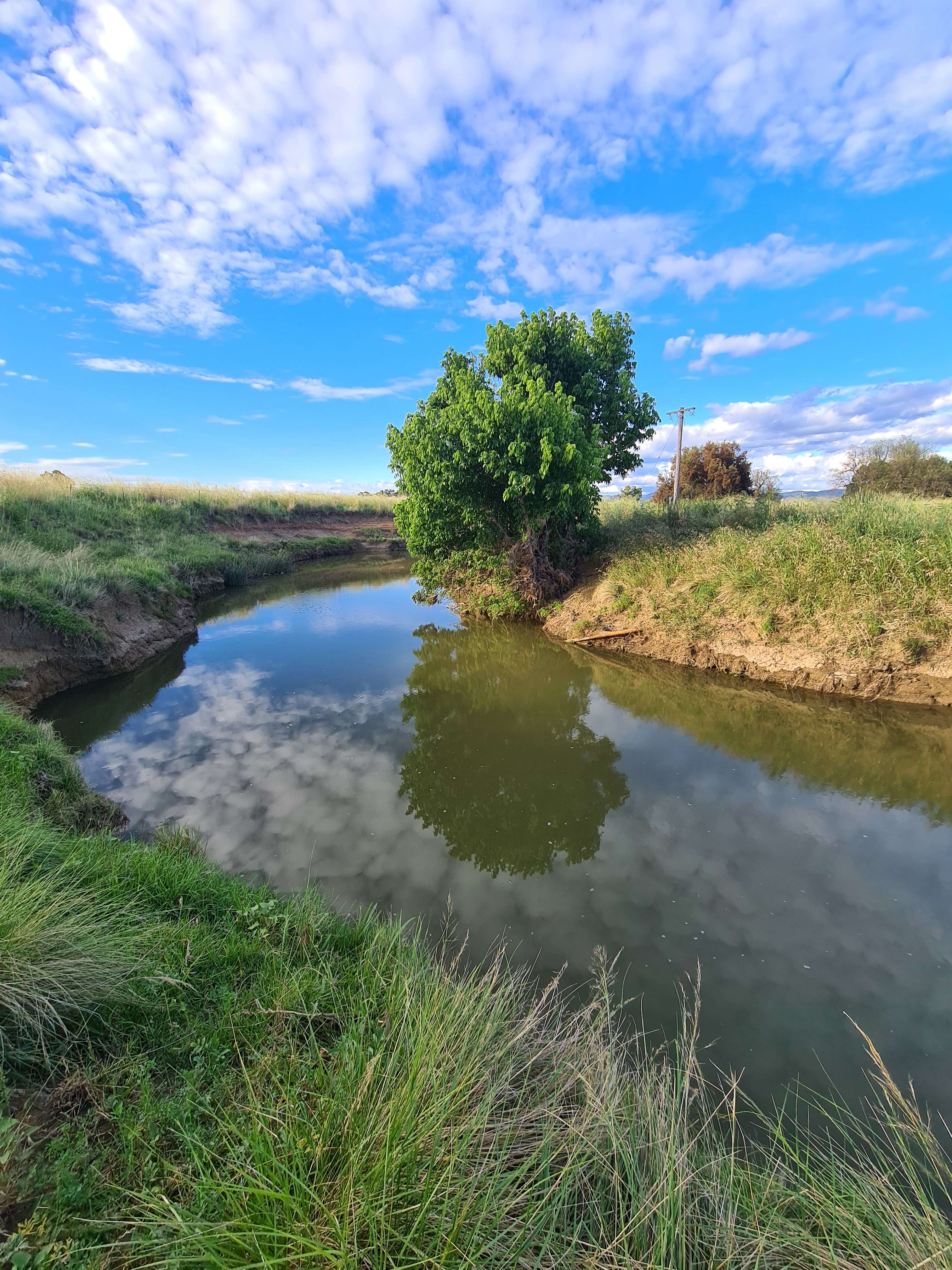 Timbumburri Creek along camping area