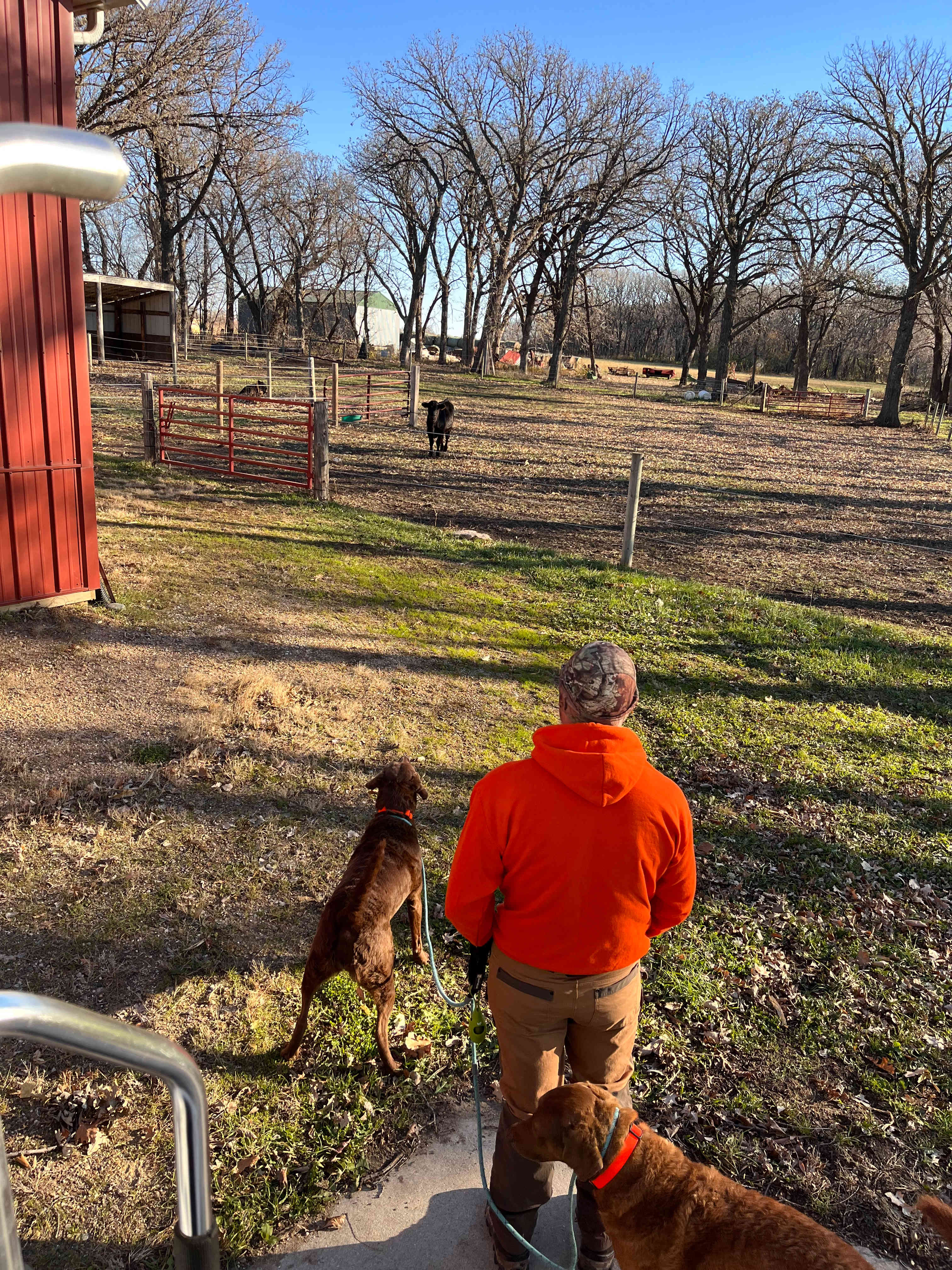 Stadings Farm & Ranch