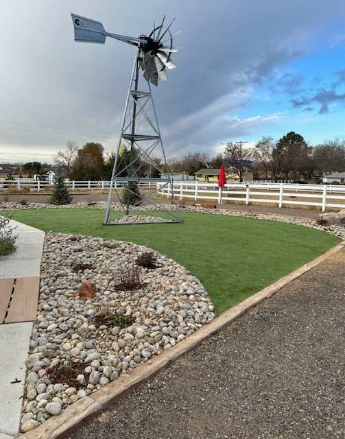 Bizzy Bee Farm