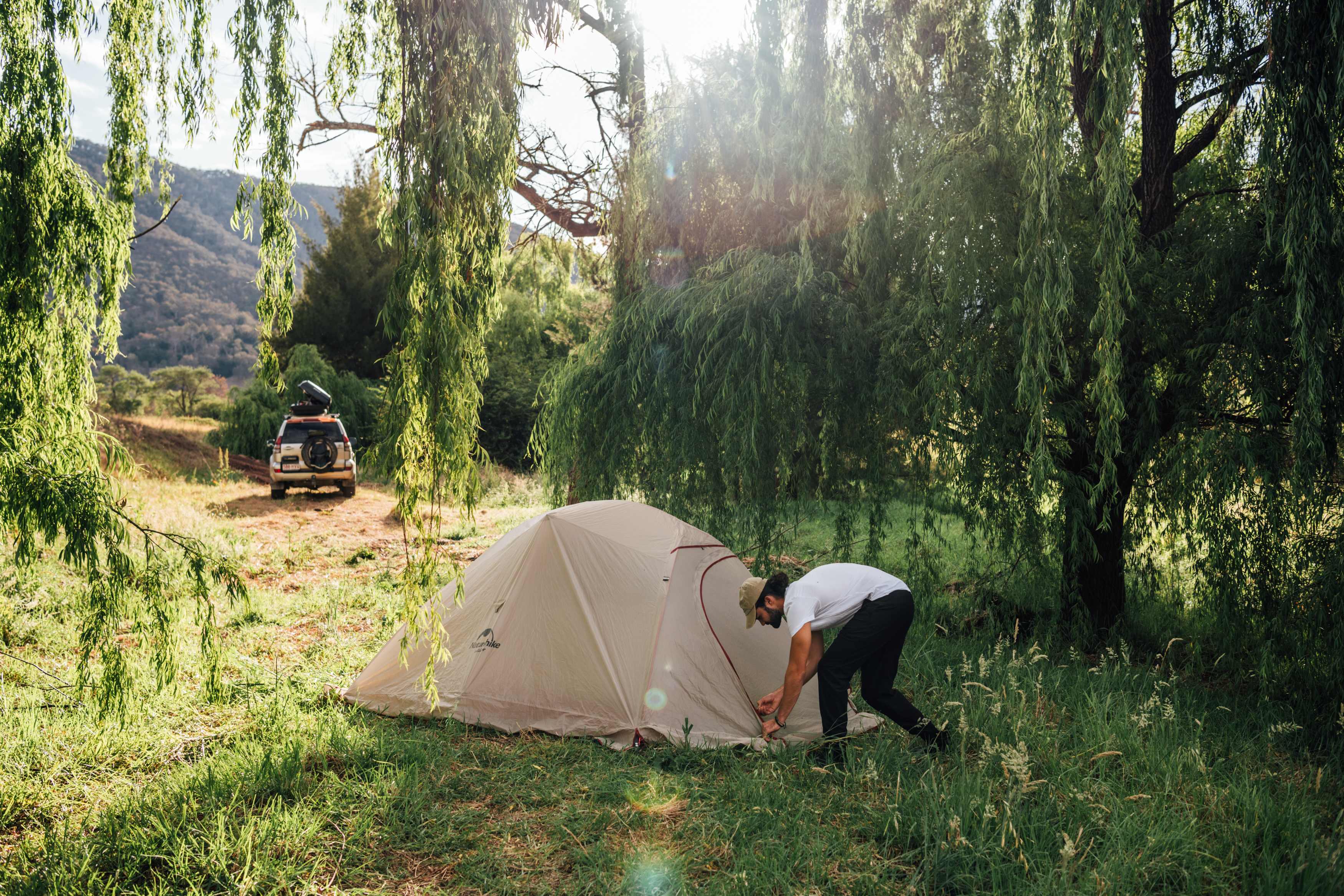Setting up our tent under the weeping willows.