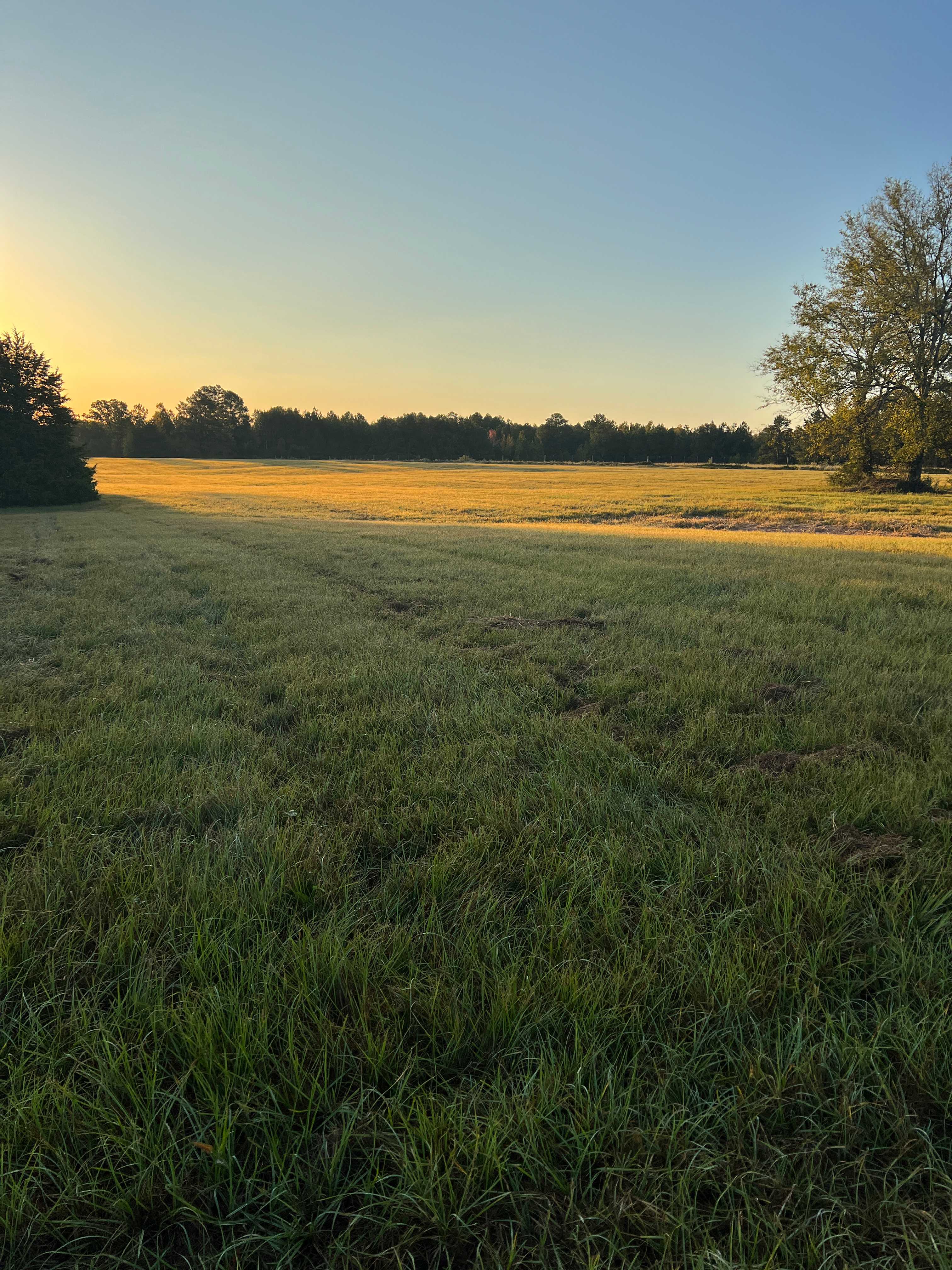 The Retreat @ Borah Farm