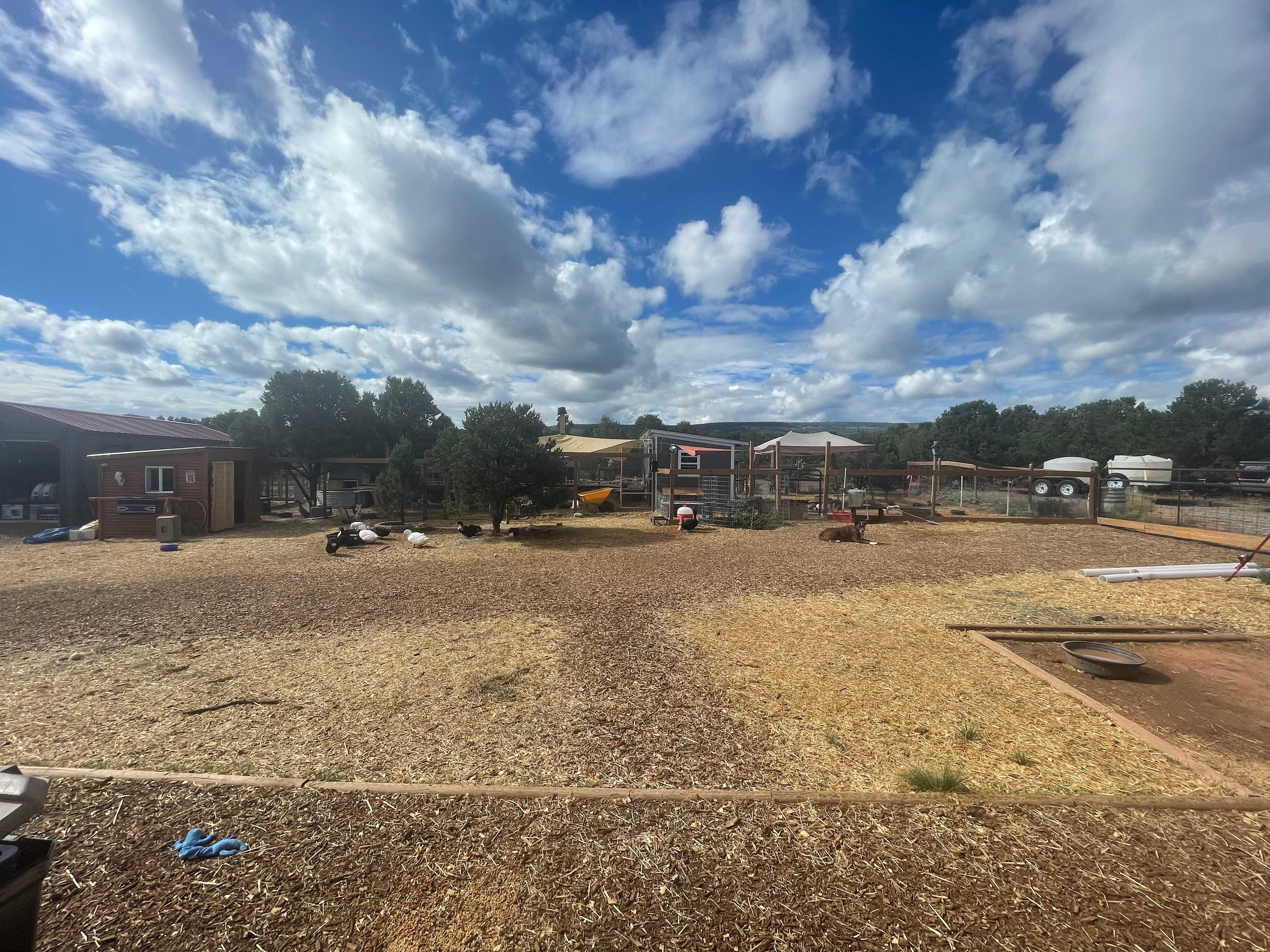 THE Flying G Ranch