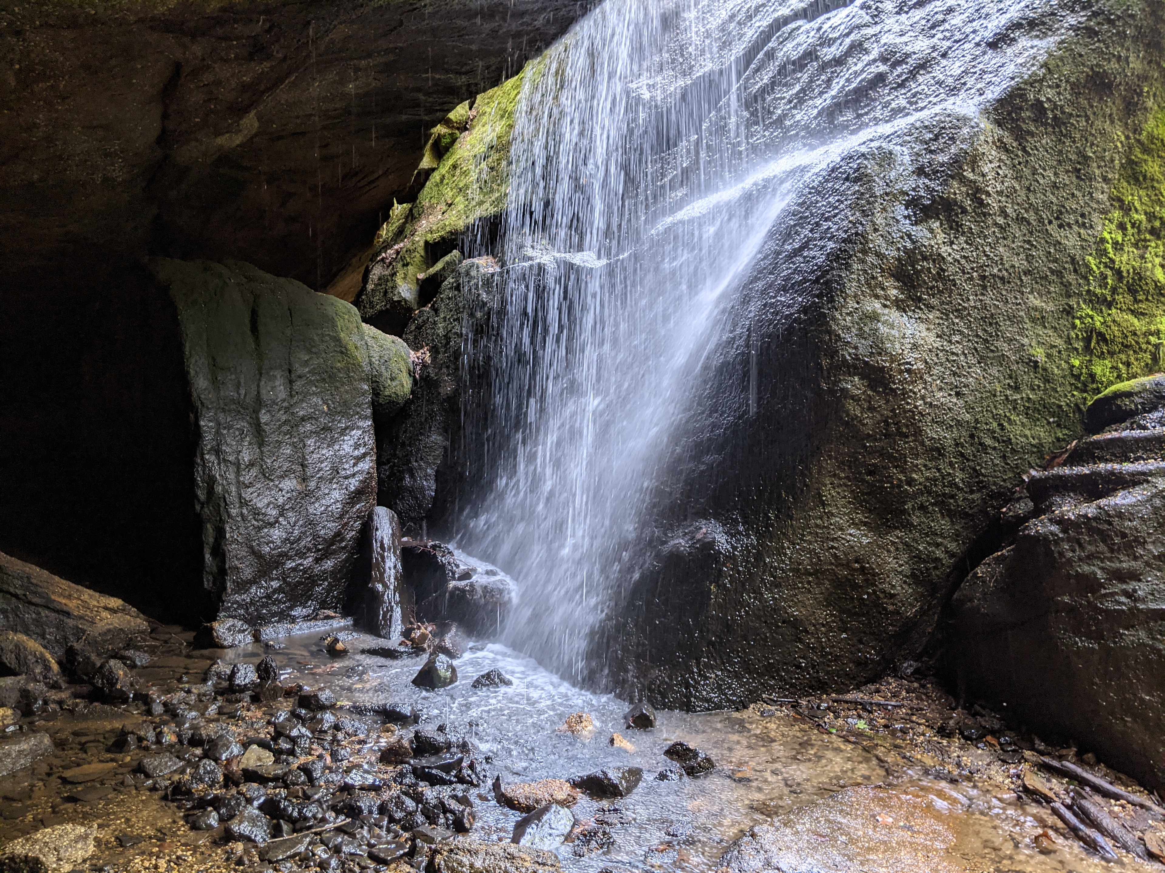 Nelson Ledges Quarry Park