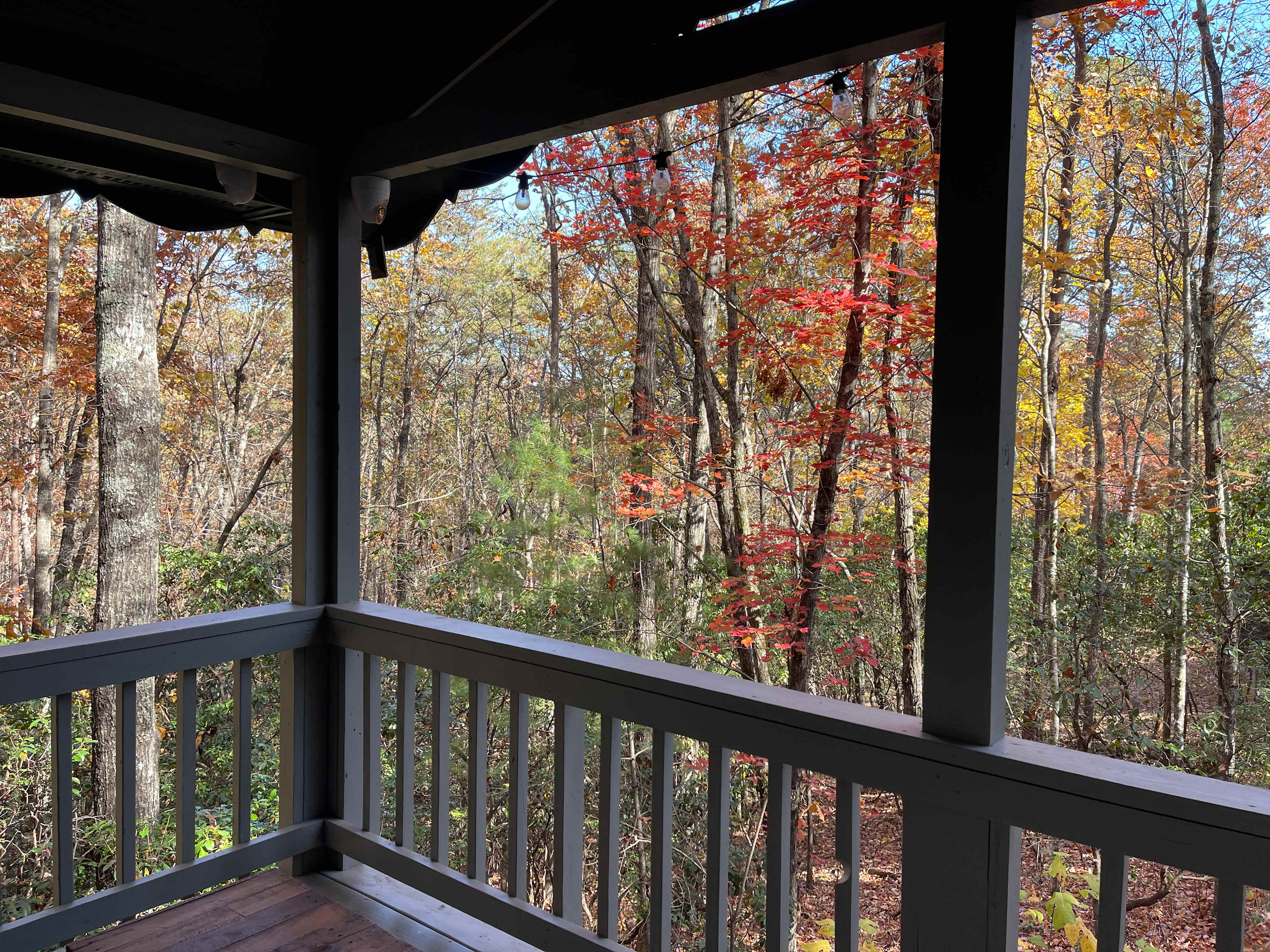 Romantic Forest Cabins Near Helen