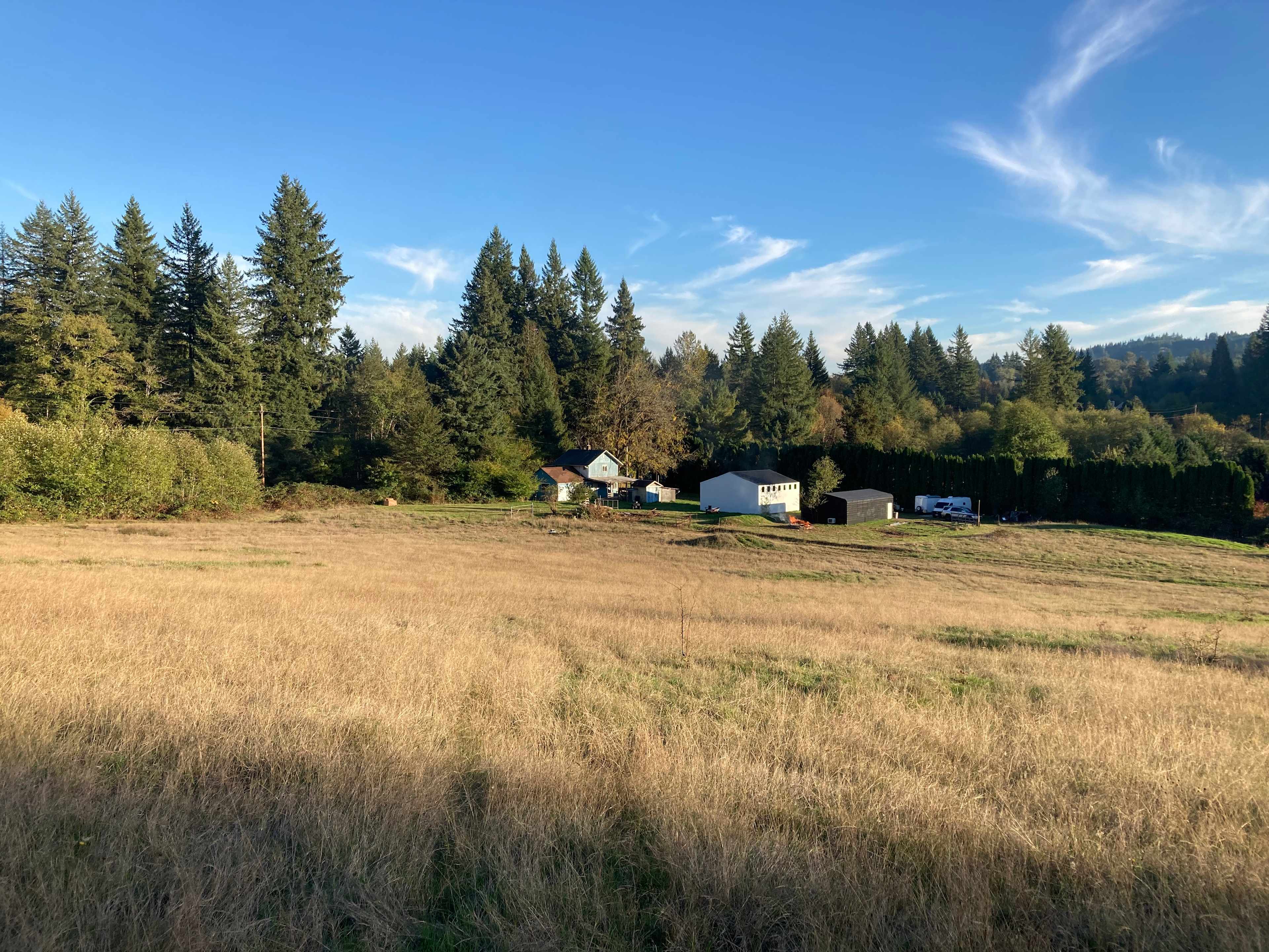 Walnut Acres - Photo 3