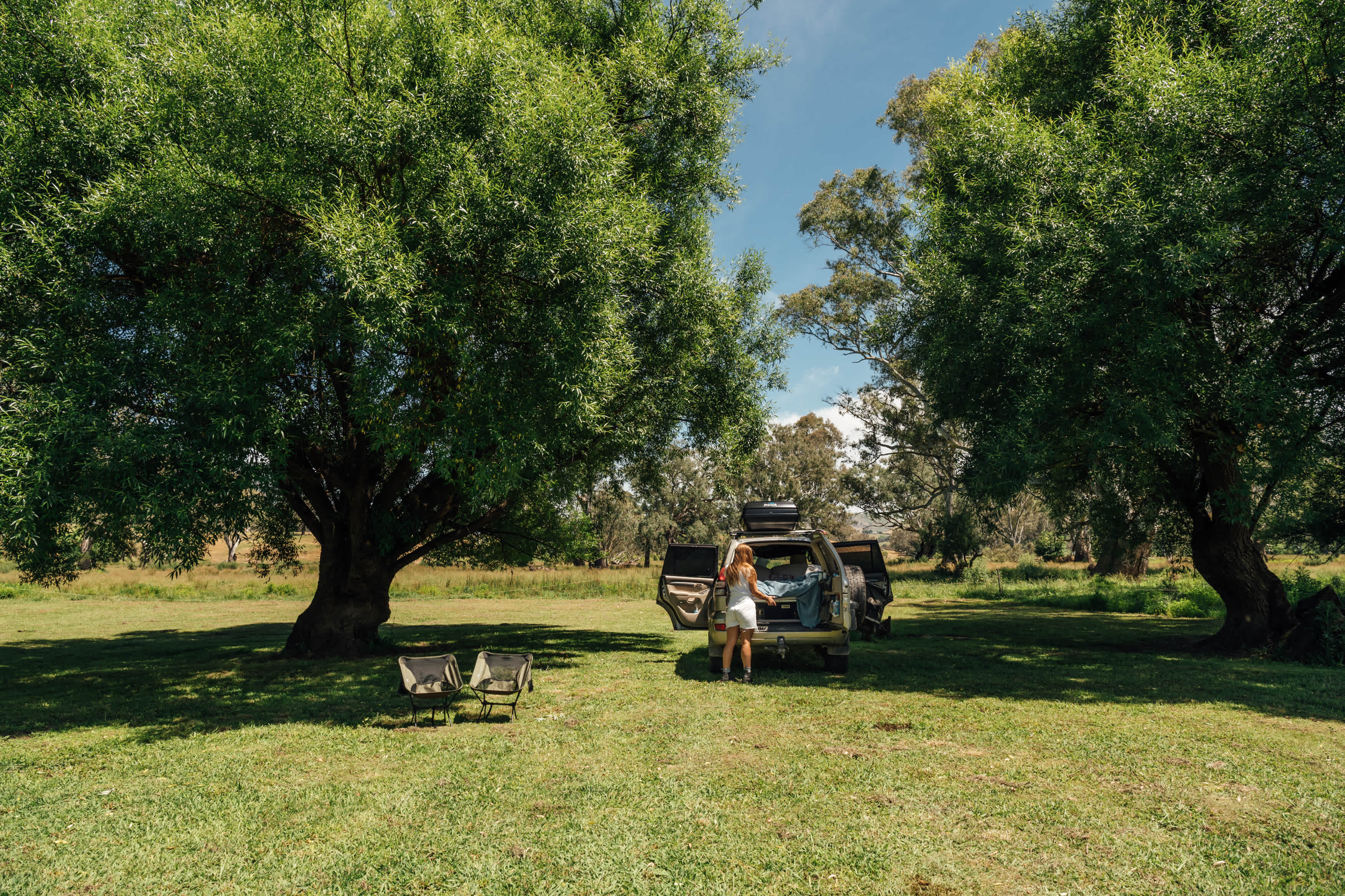 The Willows site