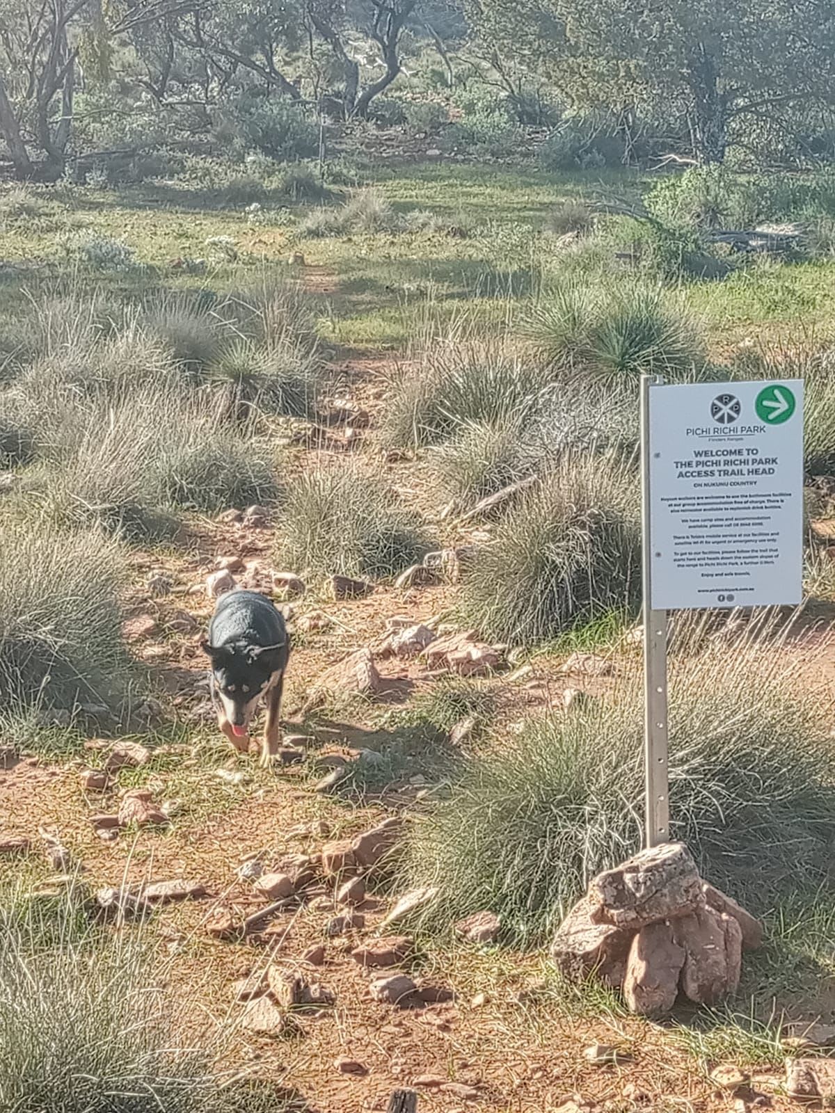 Pichi Richi Park