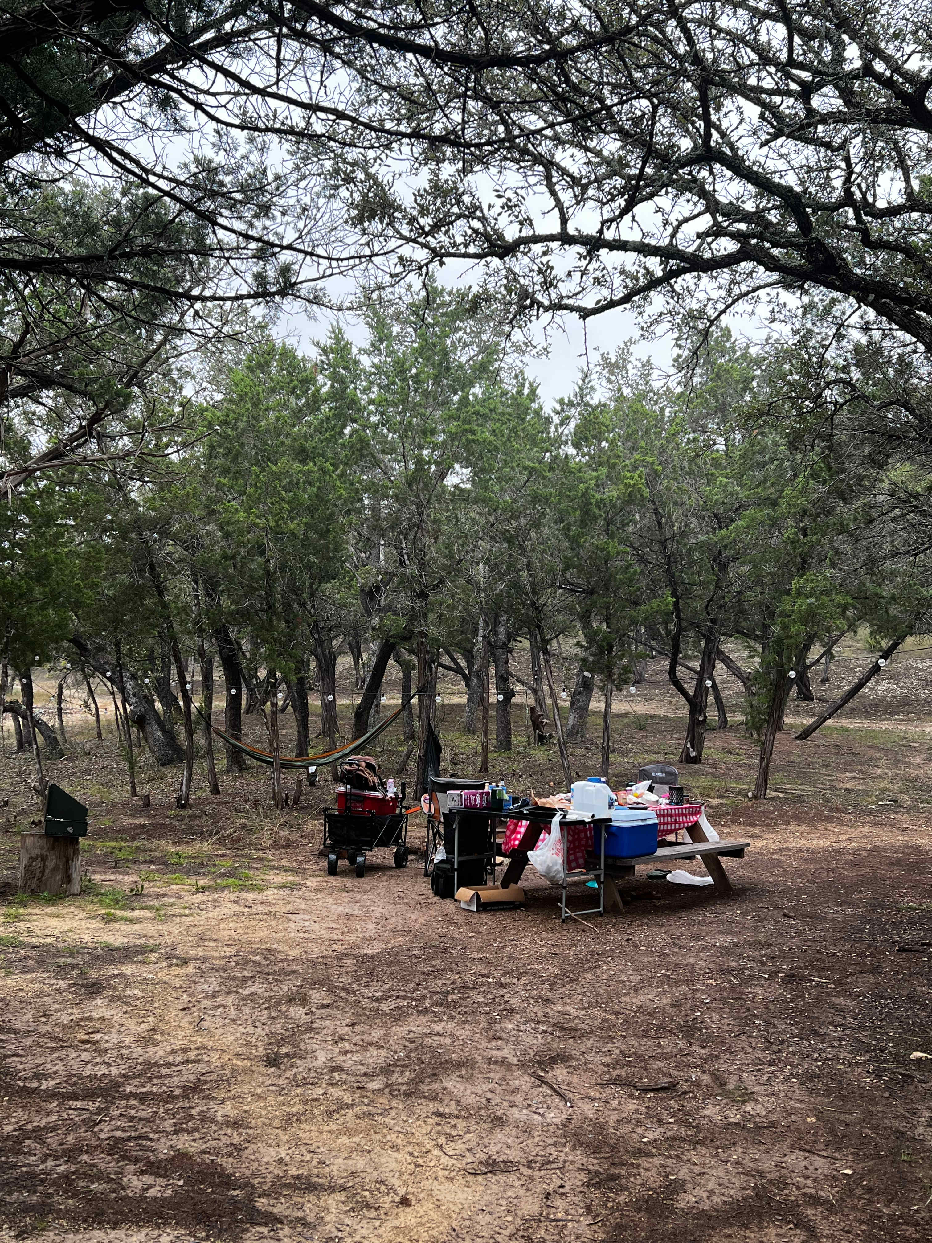 Picture of the site