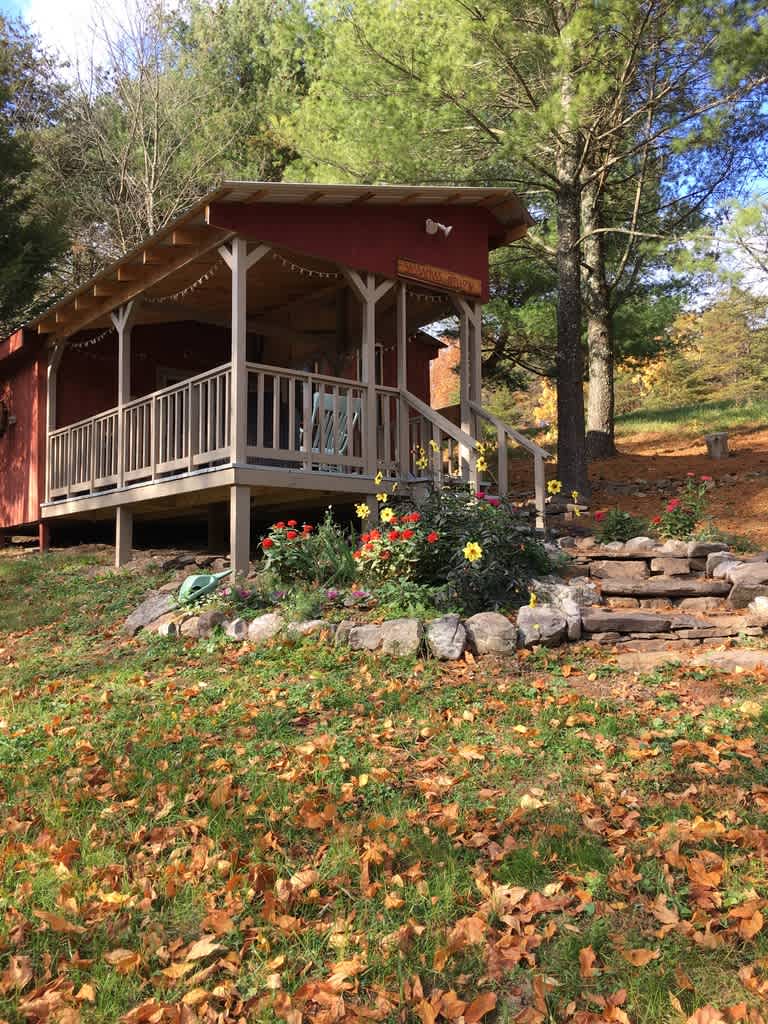 Sassafras Hollow