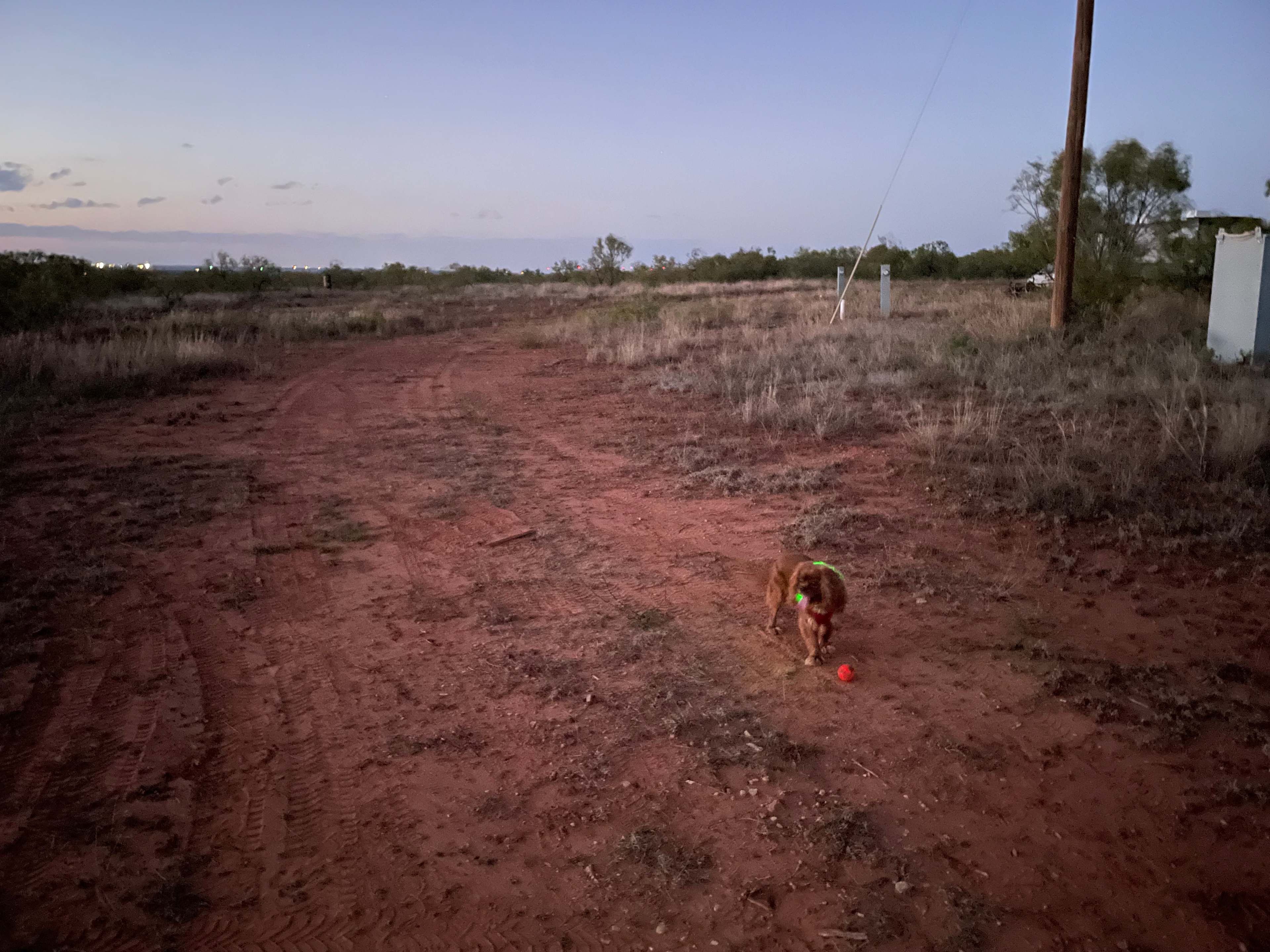 Picture of the site