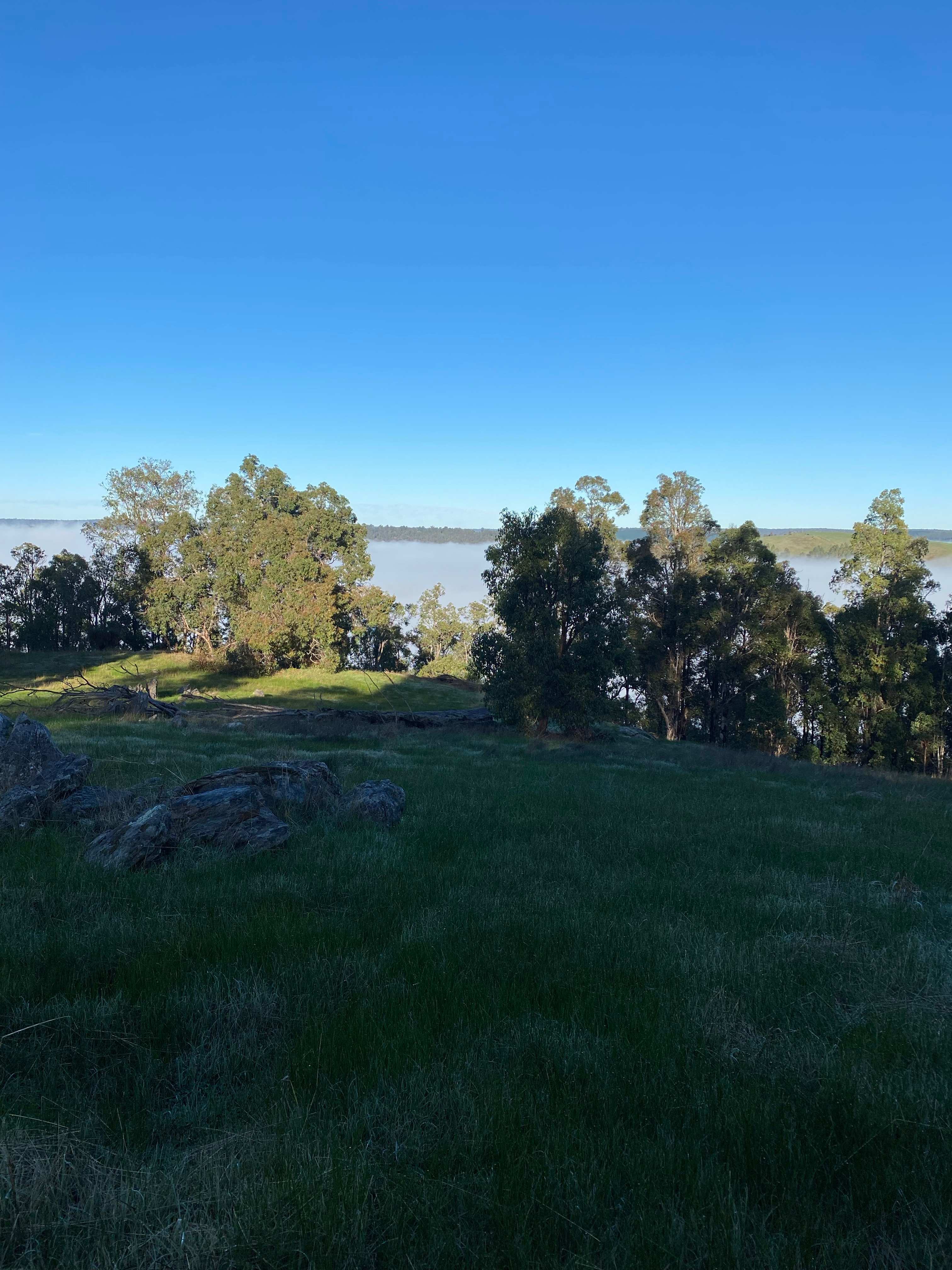 Blackwood Ridge Nature Park