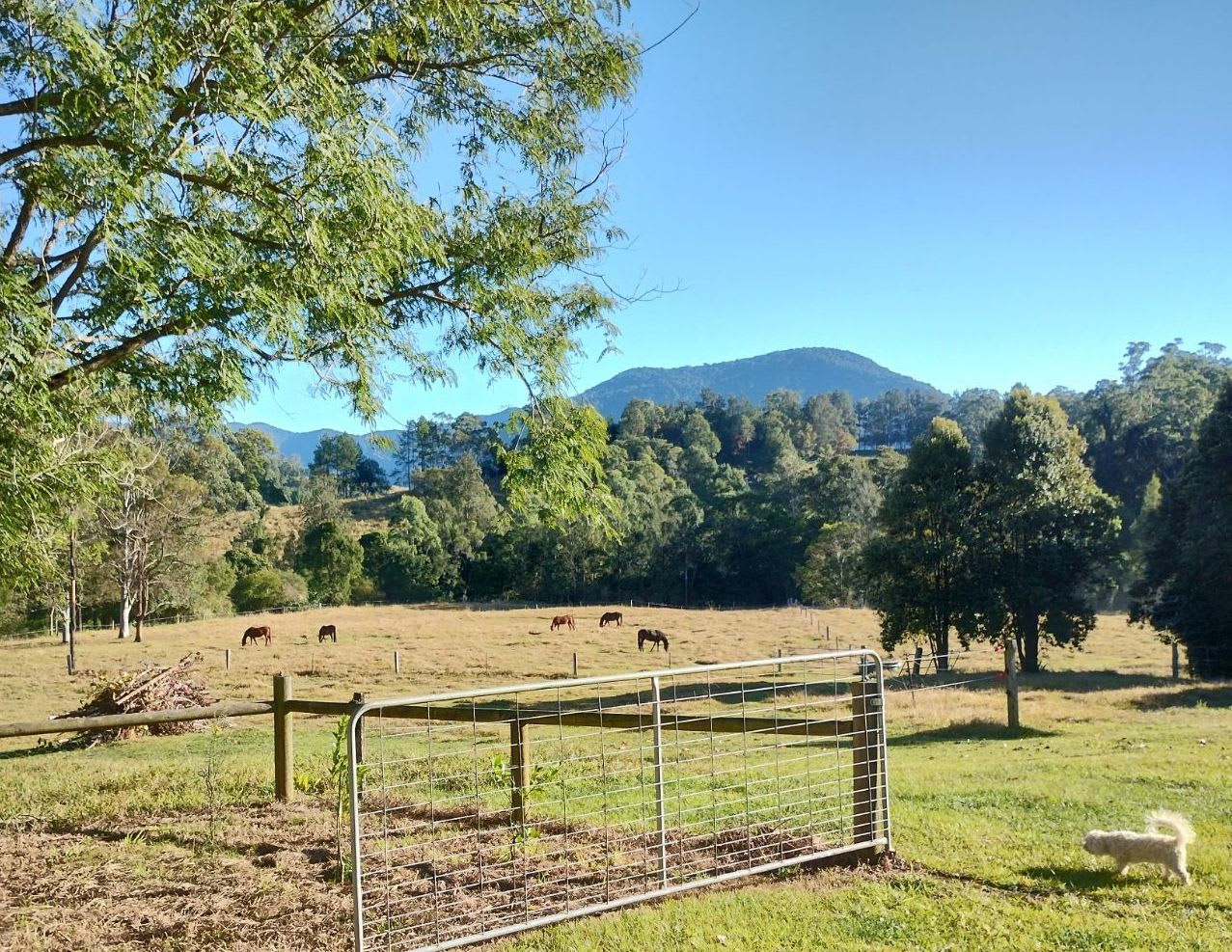 View from the Upper Camp area