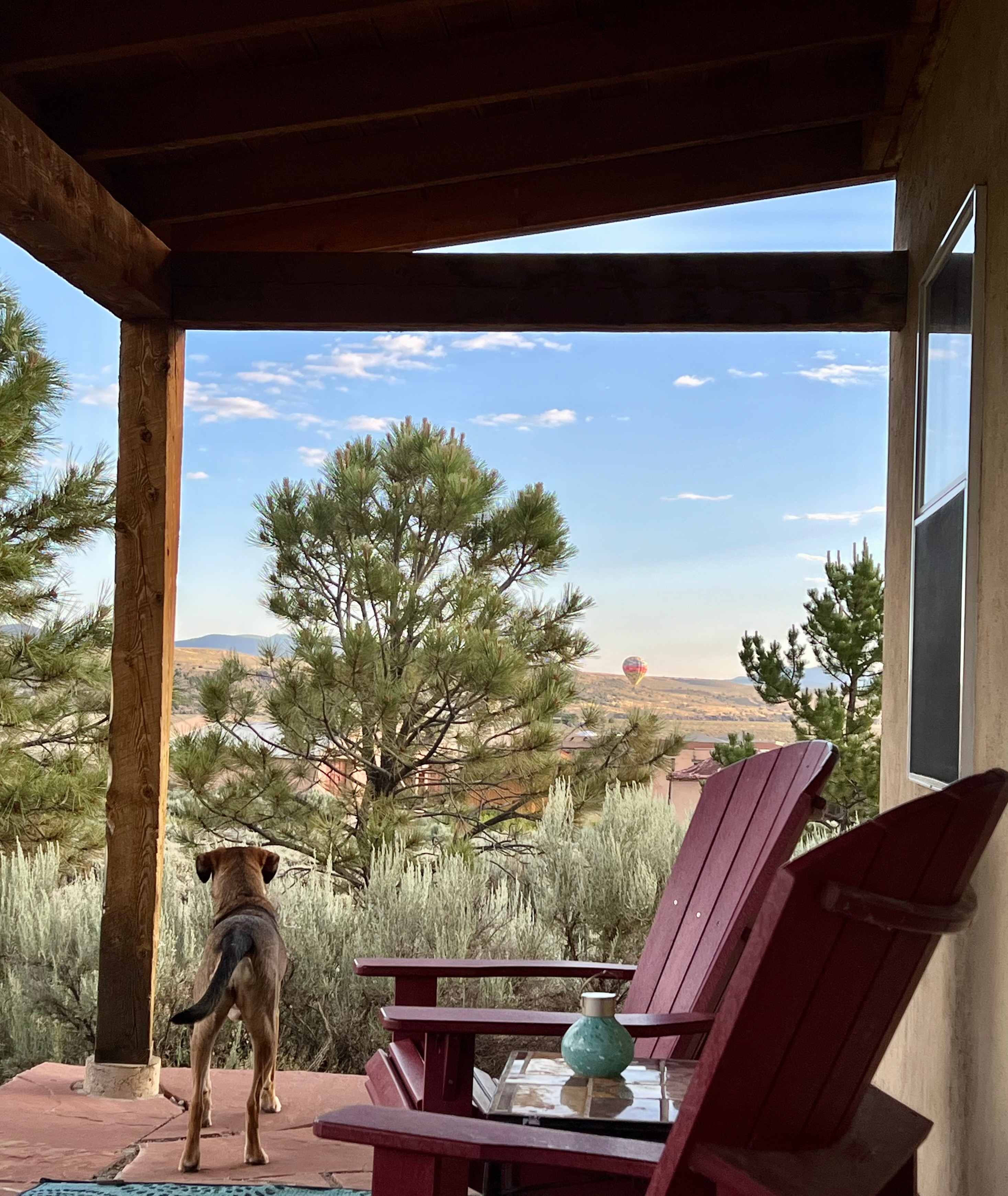 Coyote Cabin