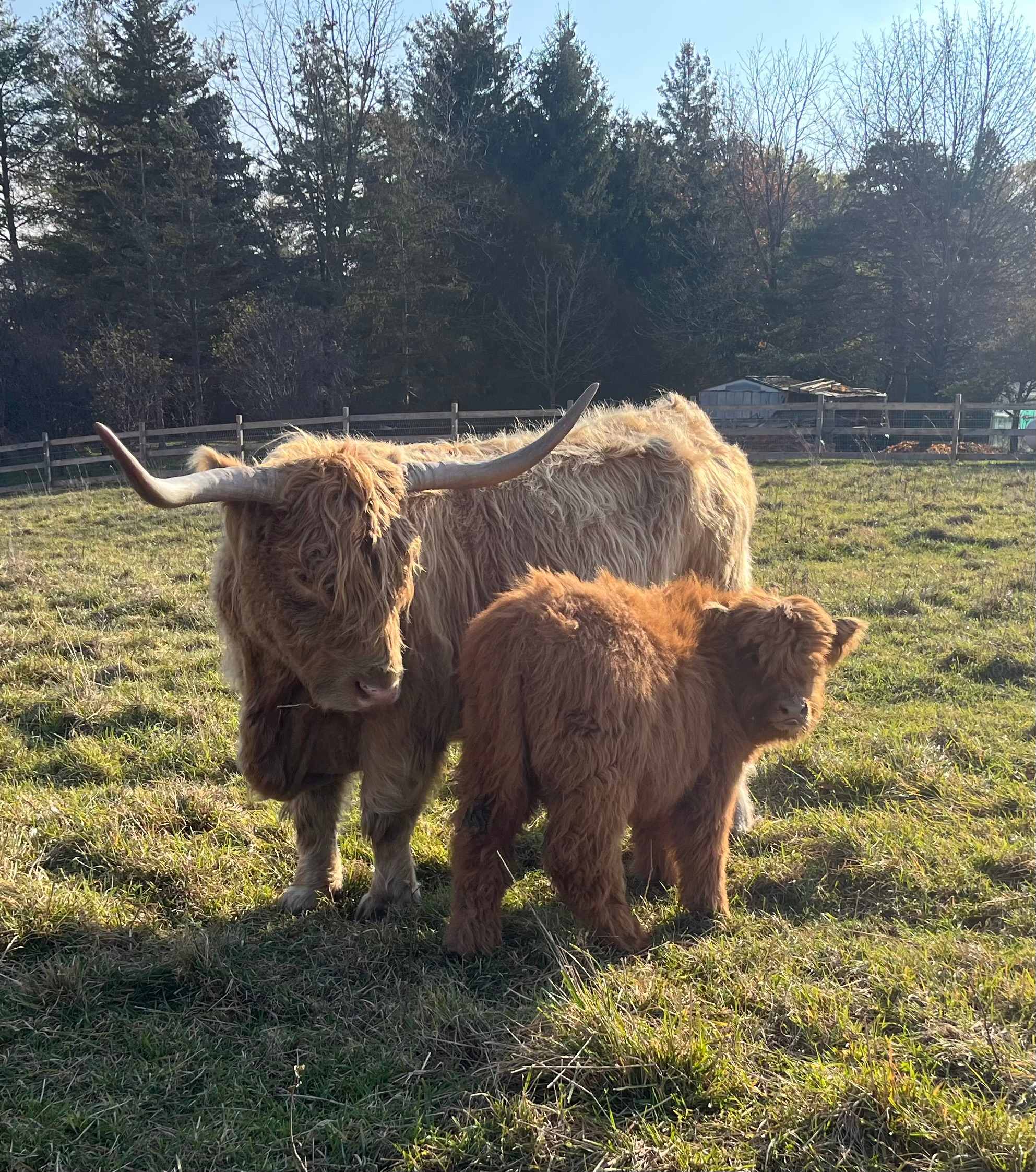Grindstone Creek Farm in Burlington