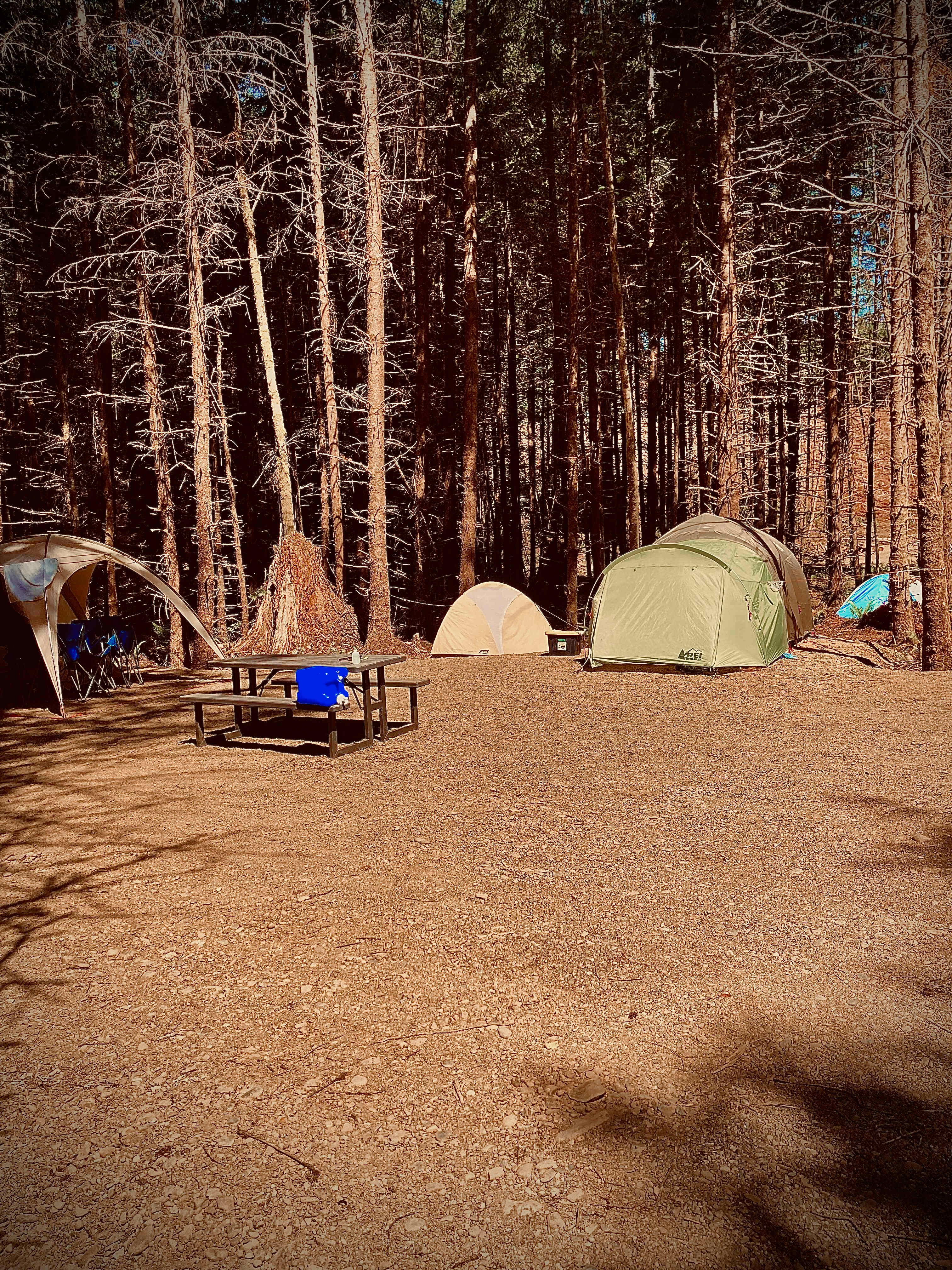 Picture of the site
