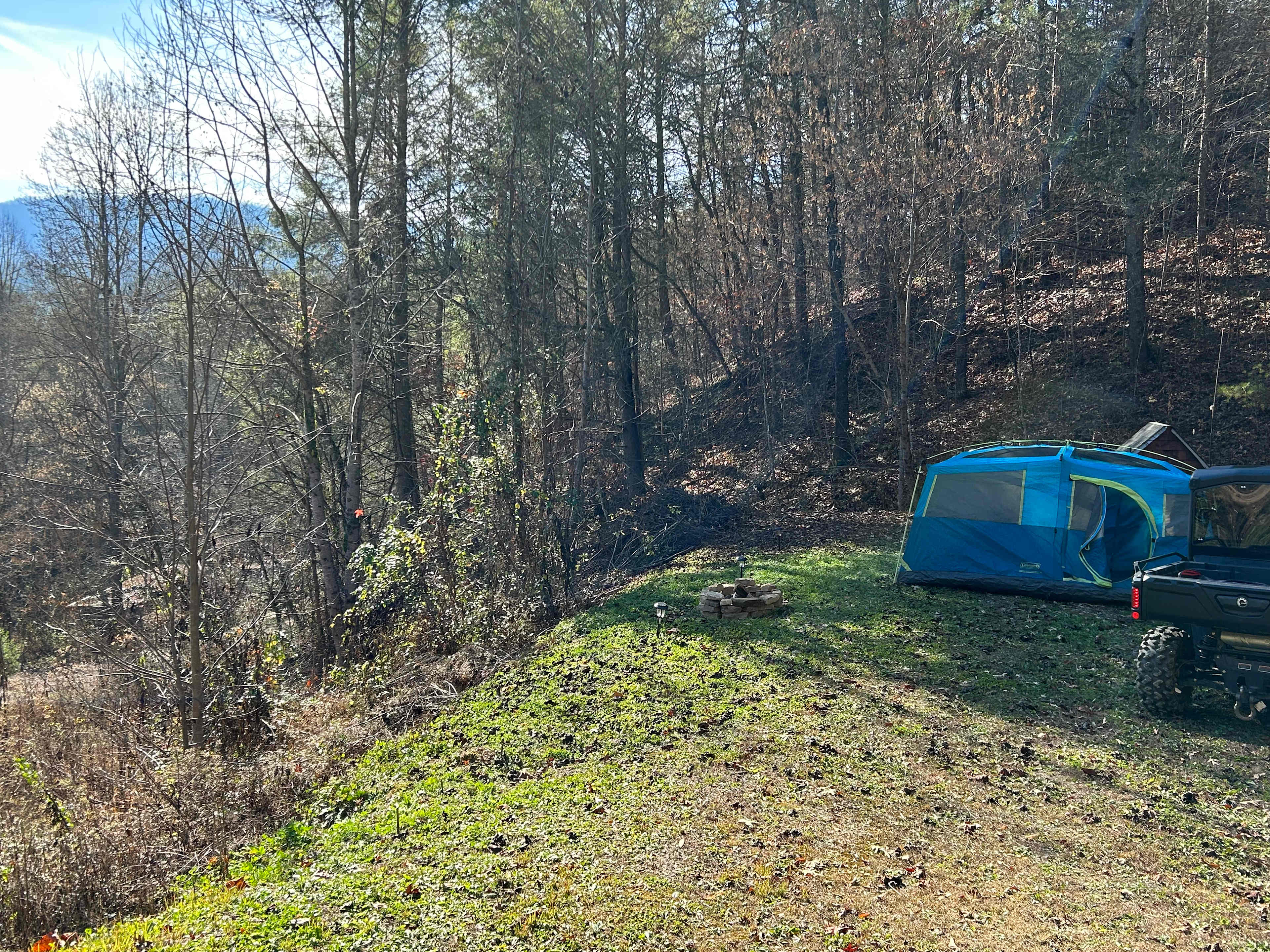 Cabins in the Holler