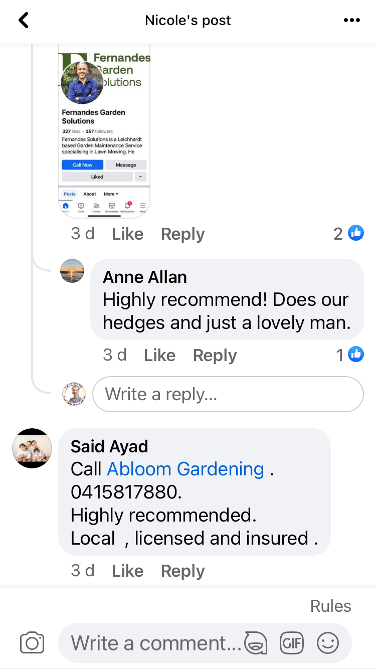 Mistinthegumtrees BUDGET 2 GLAMPING