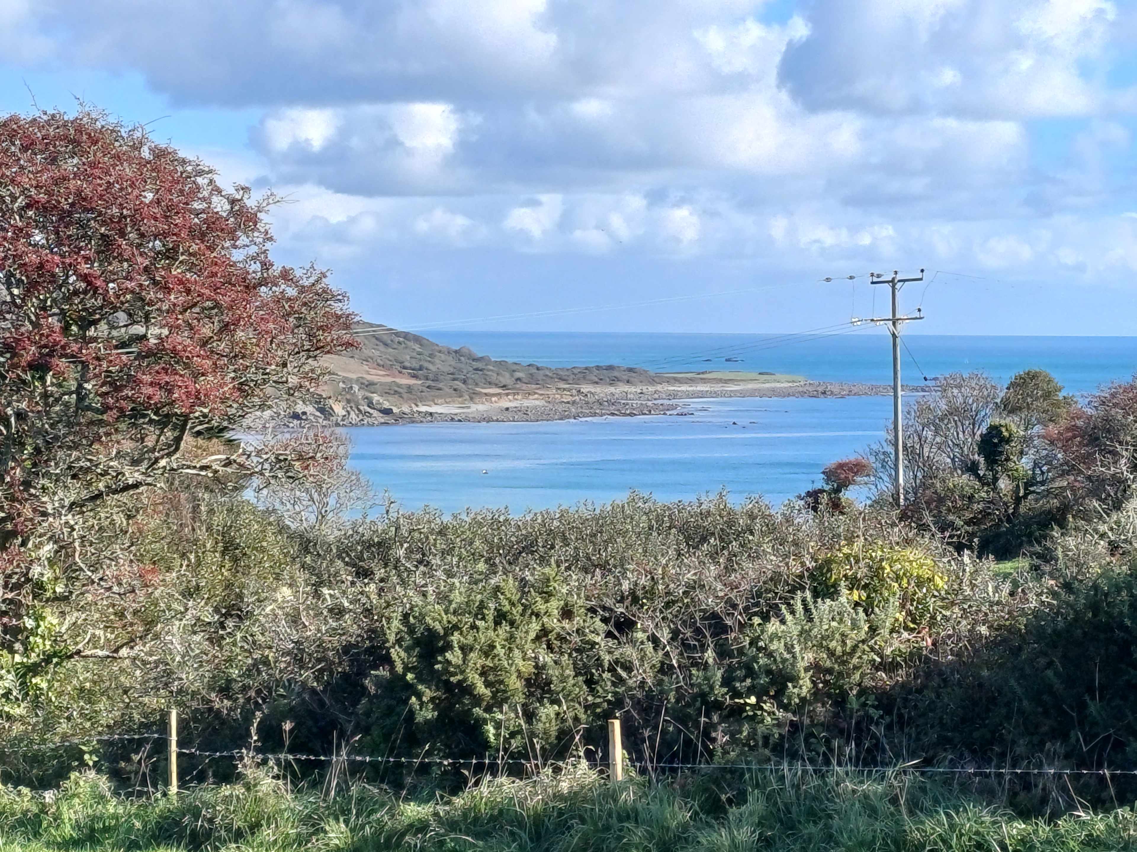 Coverack Camping & Glamping