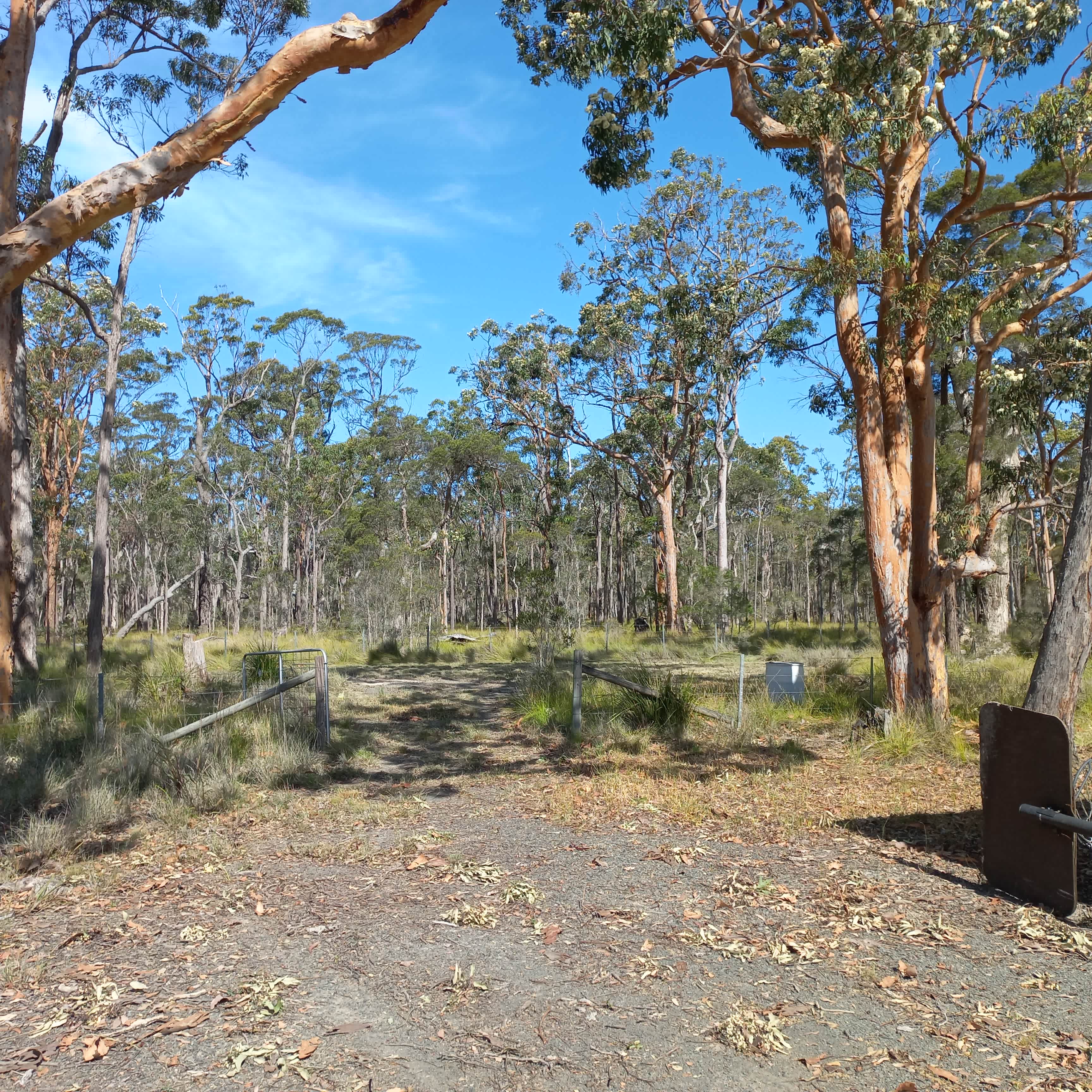 Through the side gate.