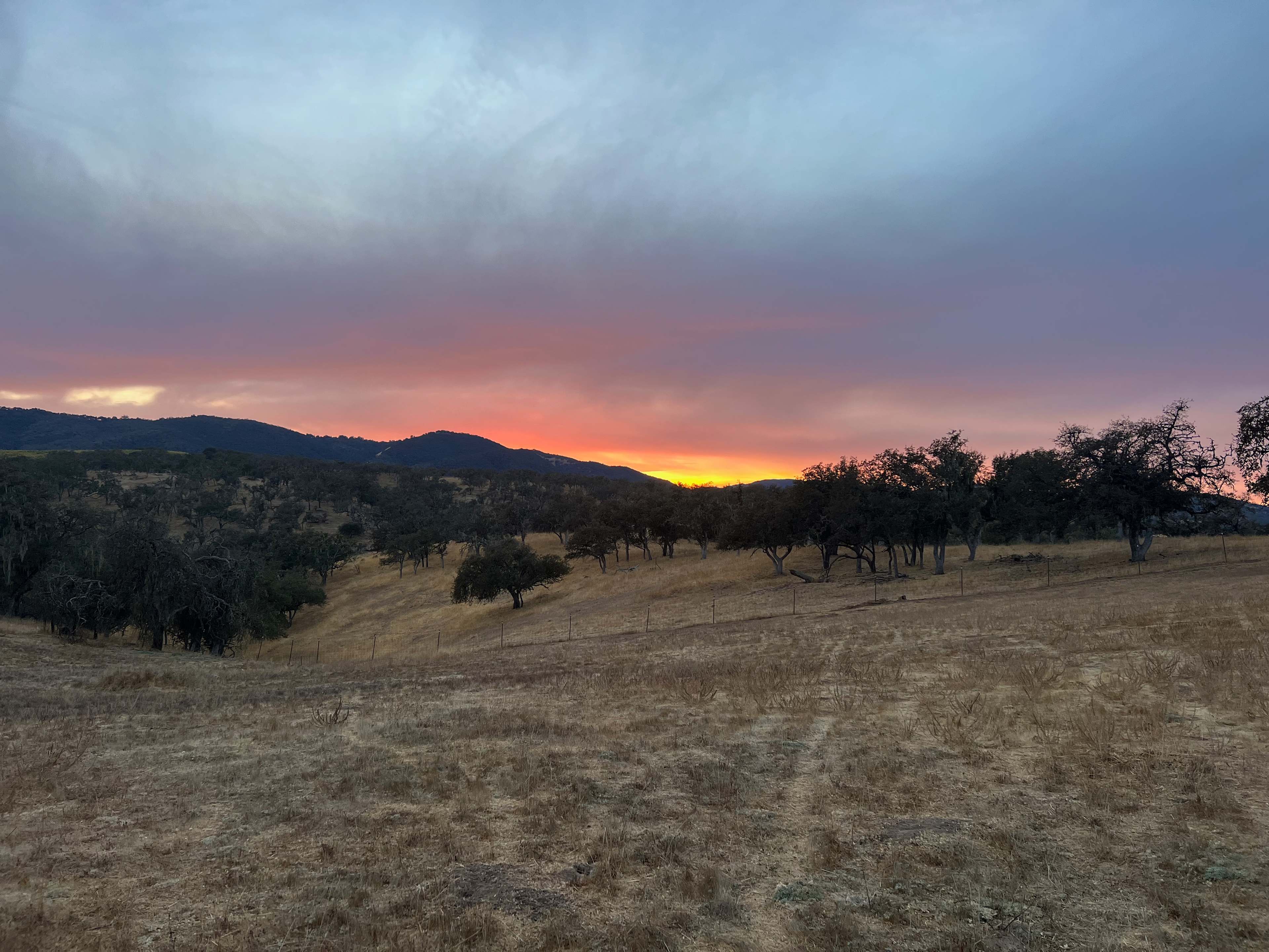 Two Heeler Ranch