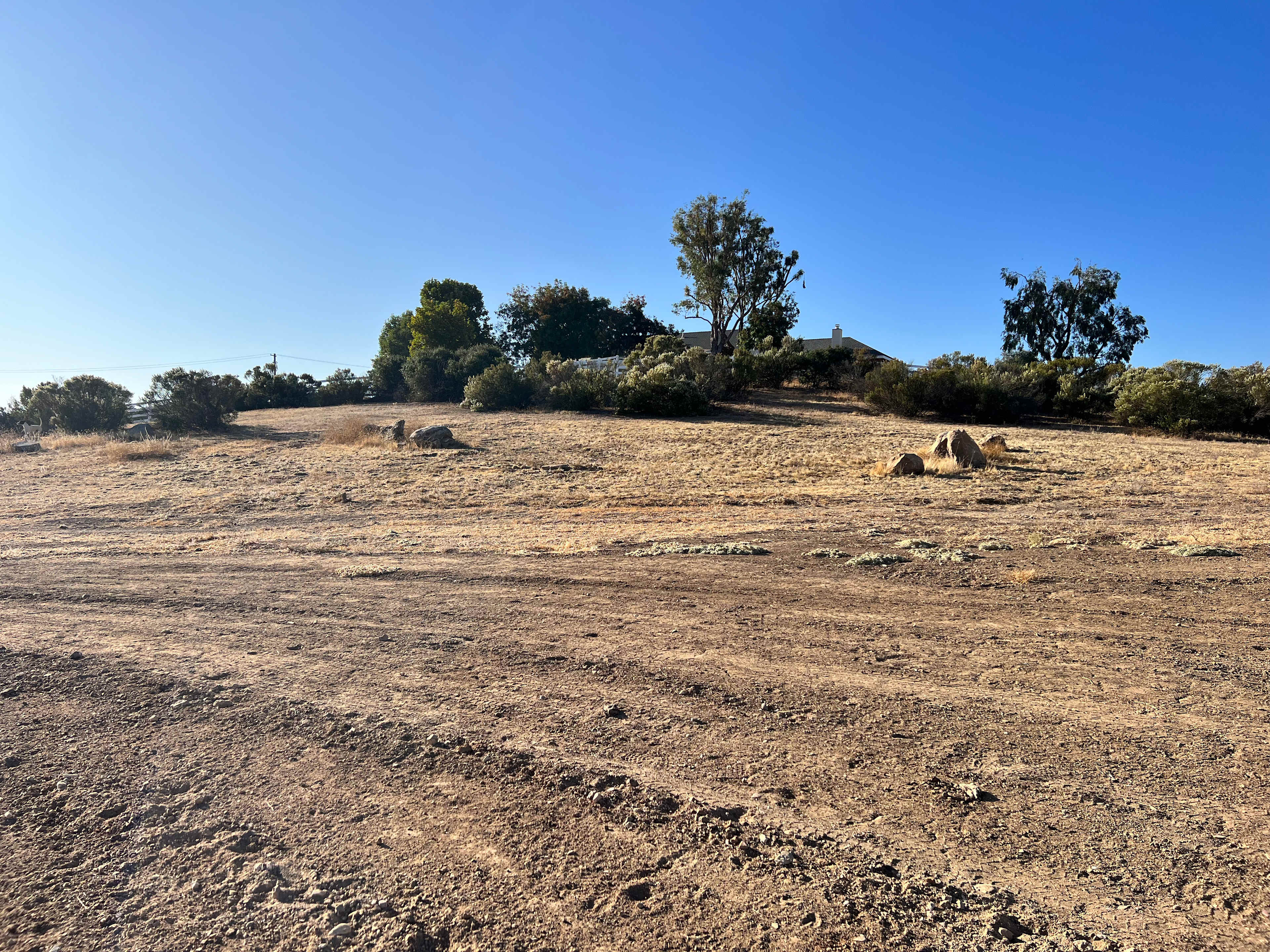 Two Heeler Ranch